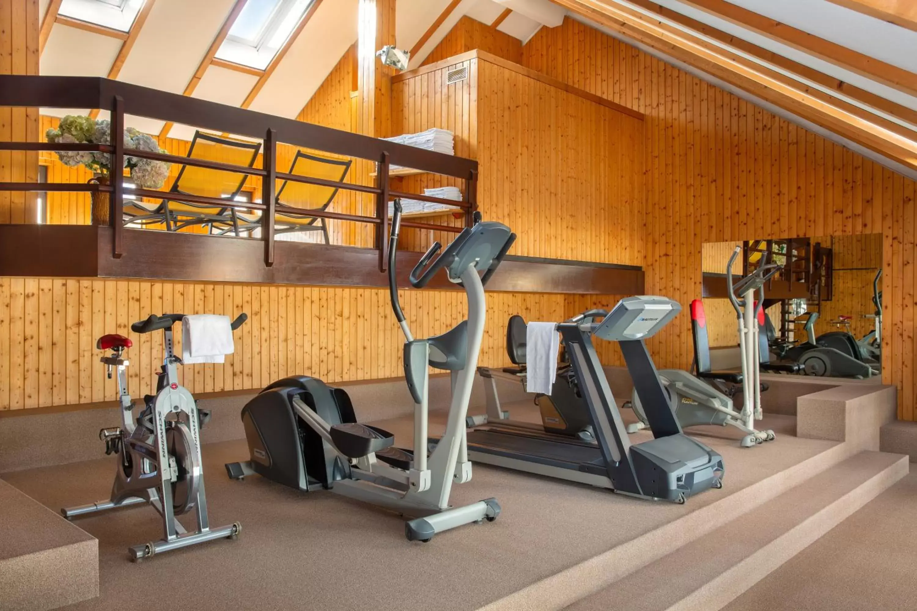 Fitness centre/facilities, Fitness Center/Facilities in Hotel Central