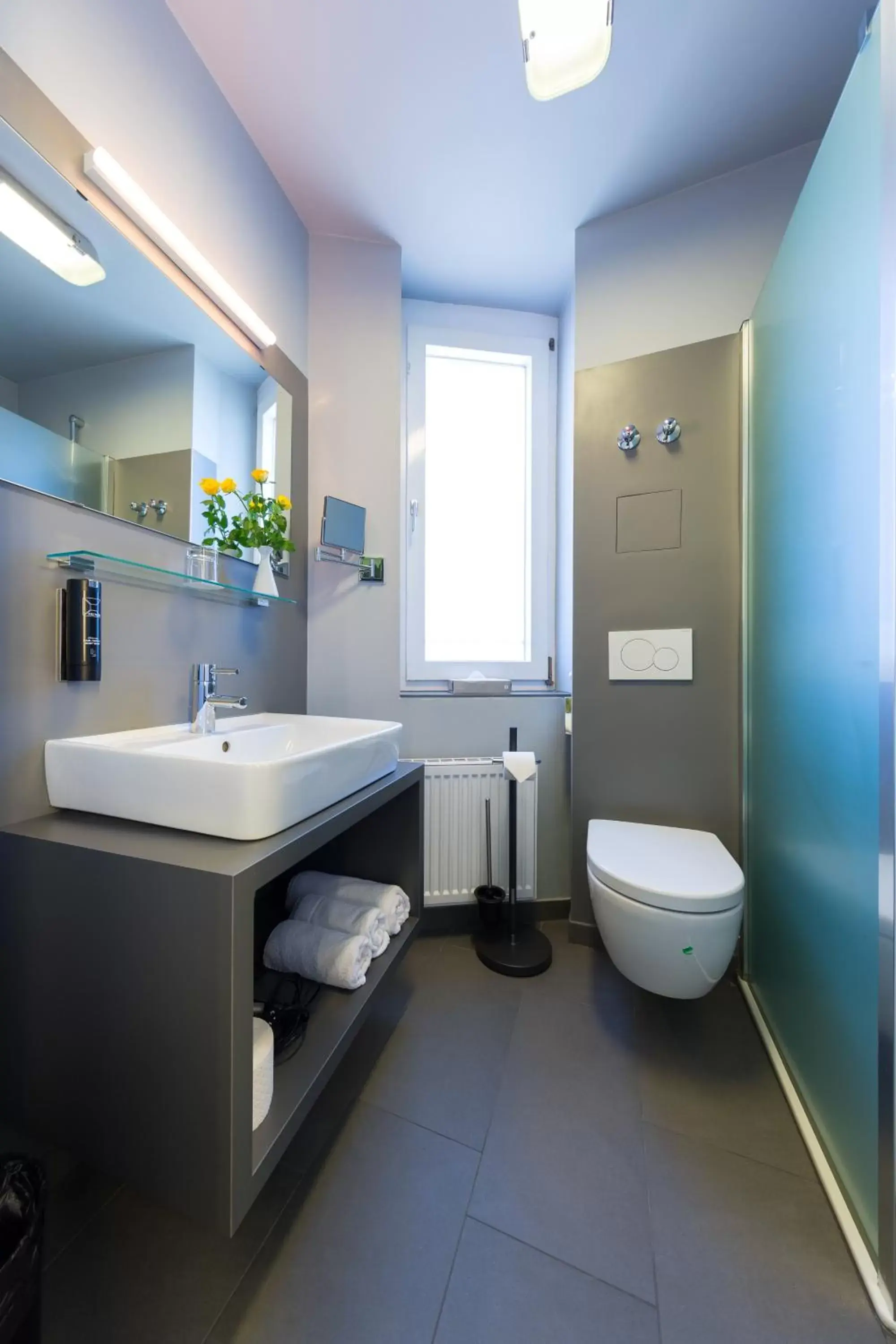 Toilet, Bathroom in mk hotel remscheid