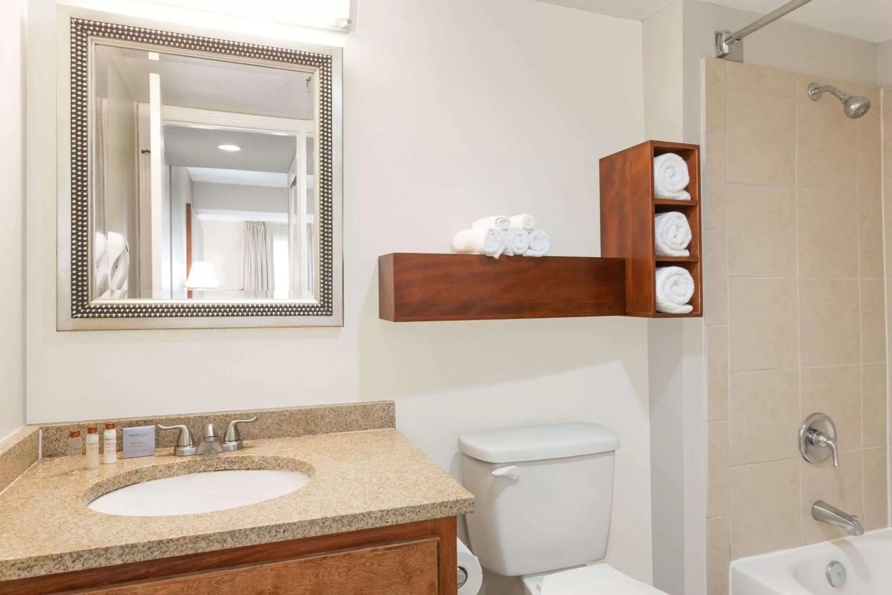 Bathroom in Hawthorn Suites By Wyndham North Charleston