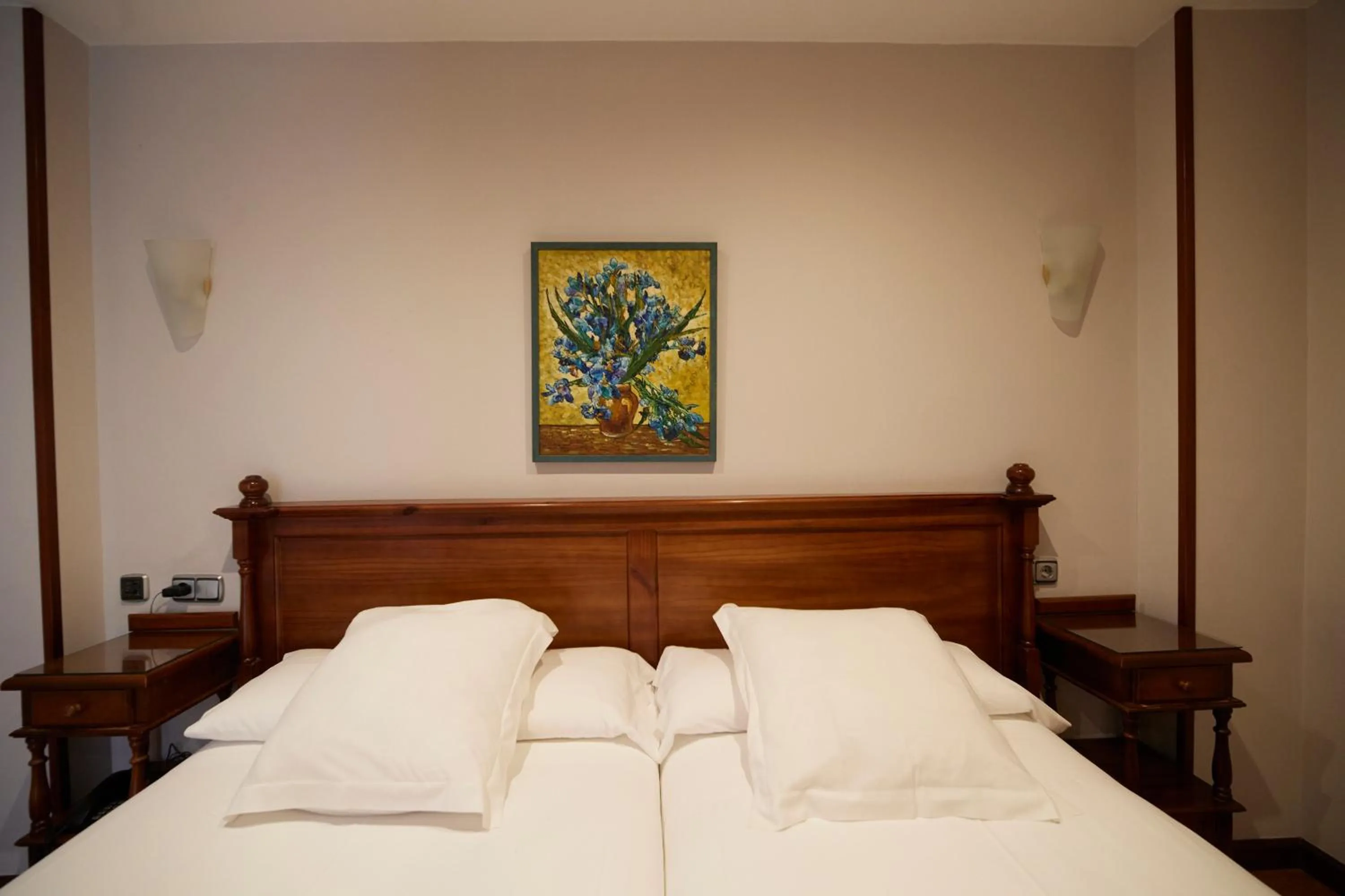 Bed in Hotel Villalegre