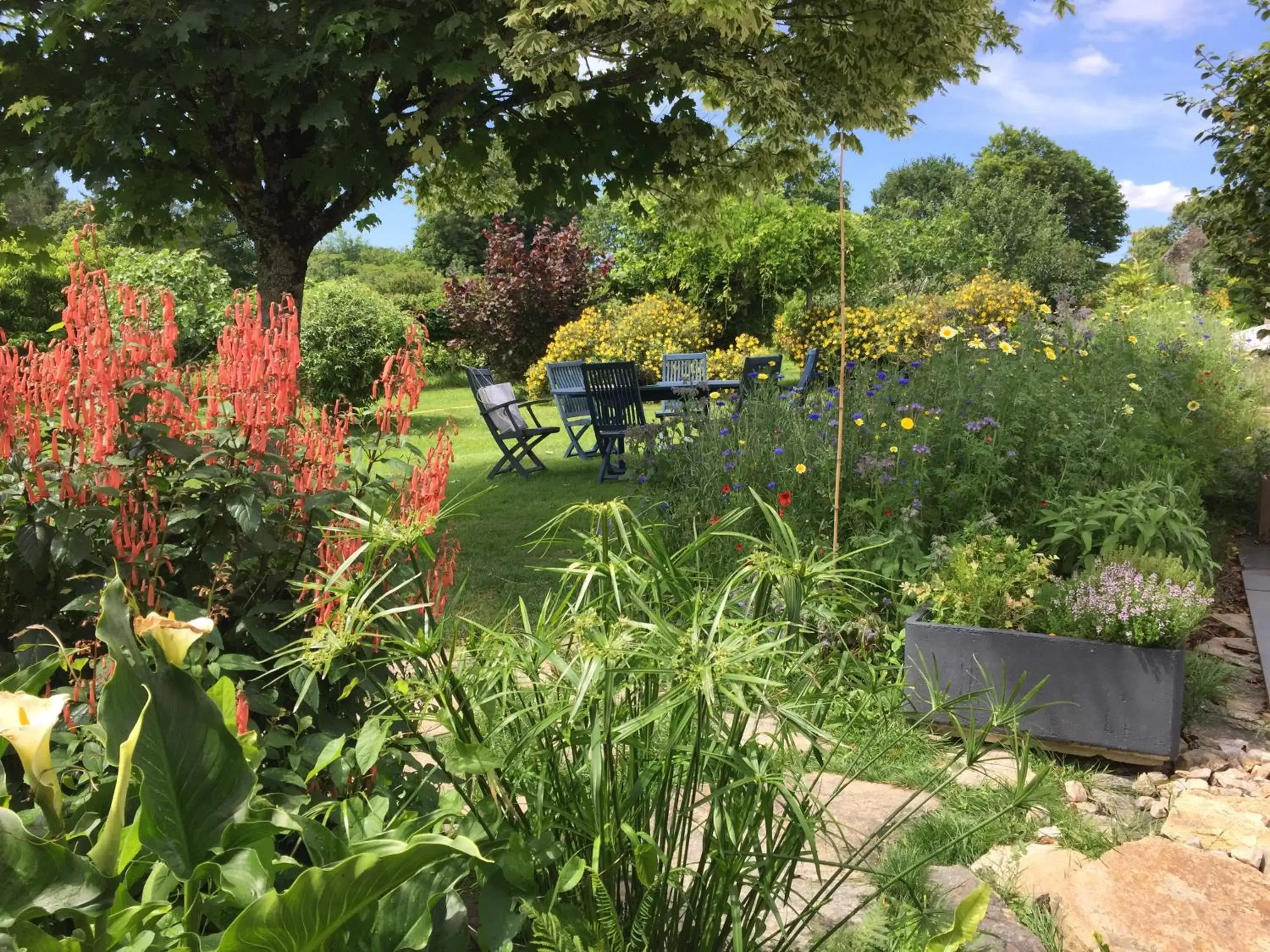 Garden in Les 3 Koïs