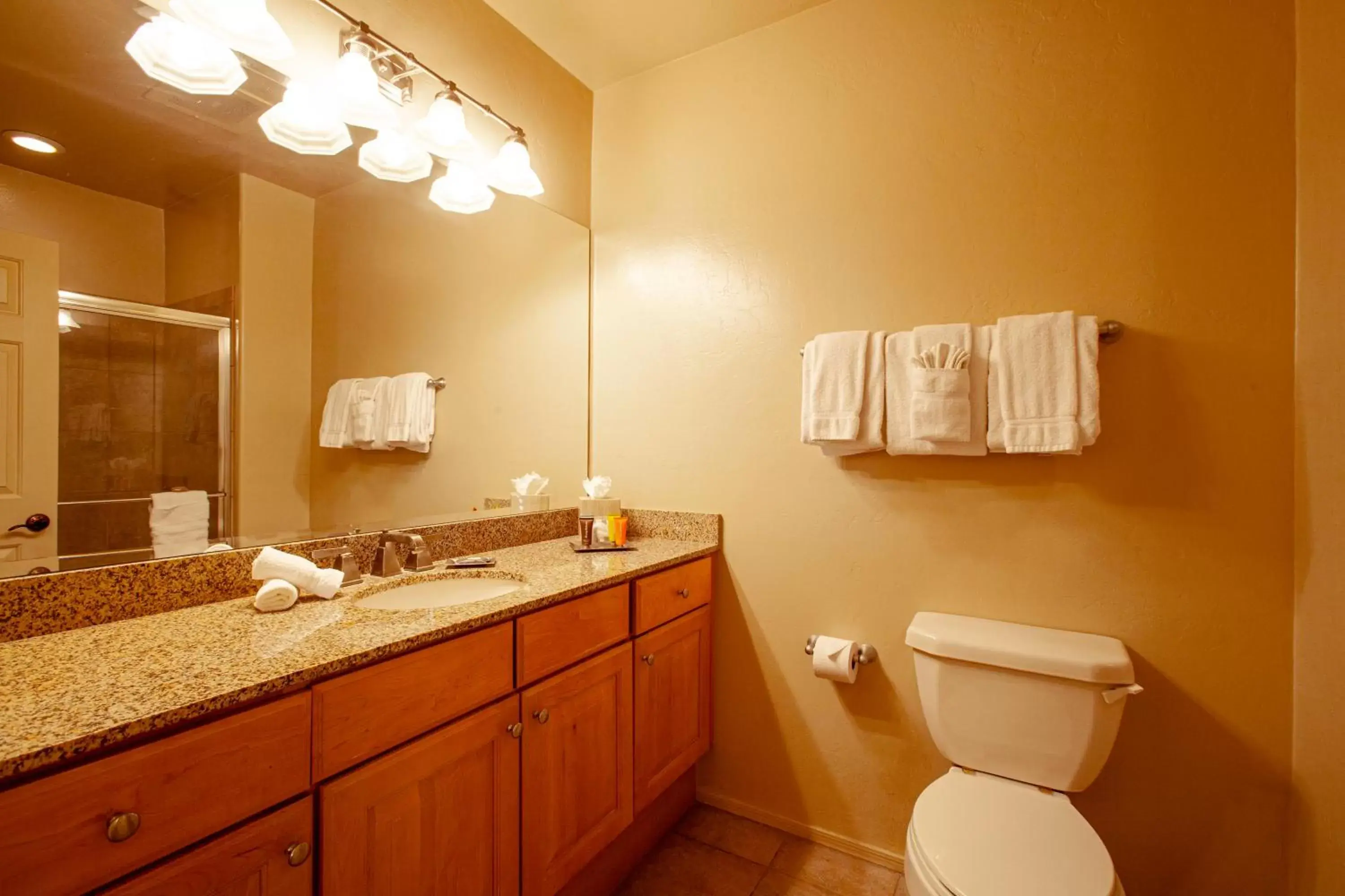 Toilet, Bathroom in Canoa Ranch Golf Resort