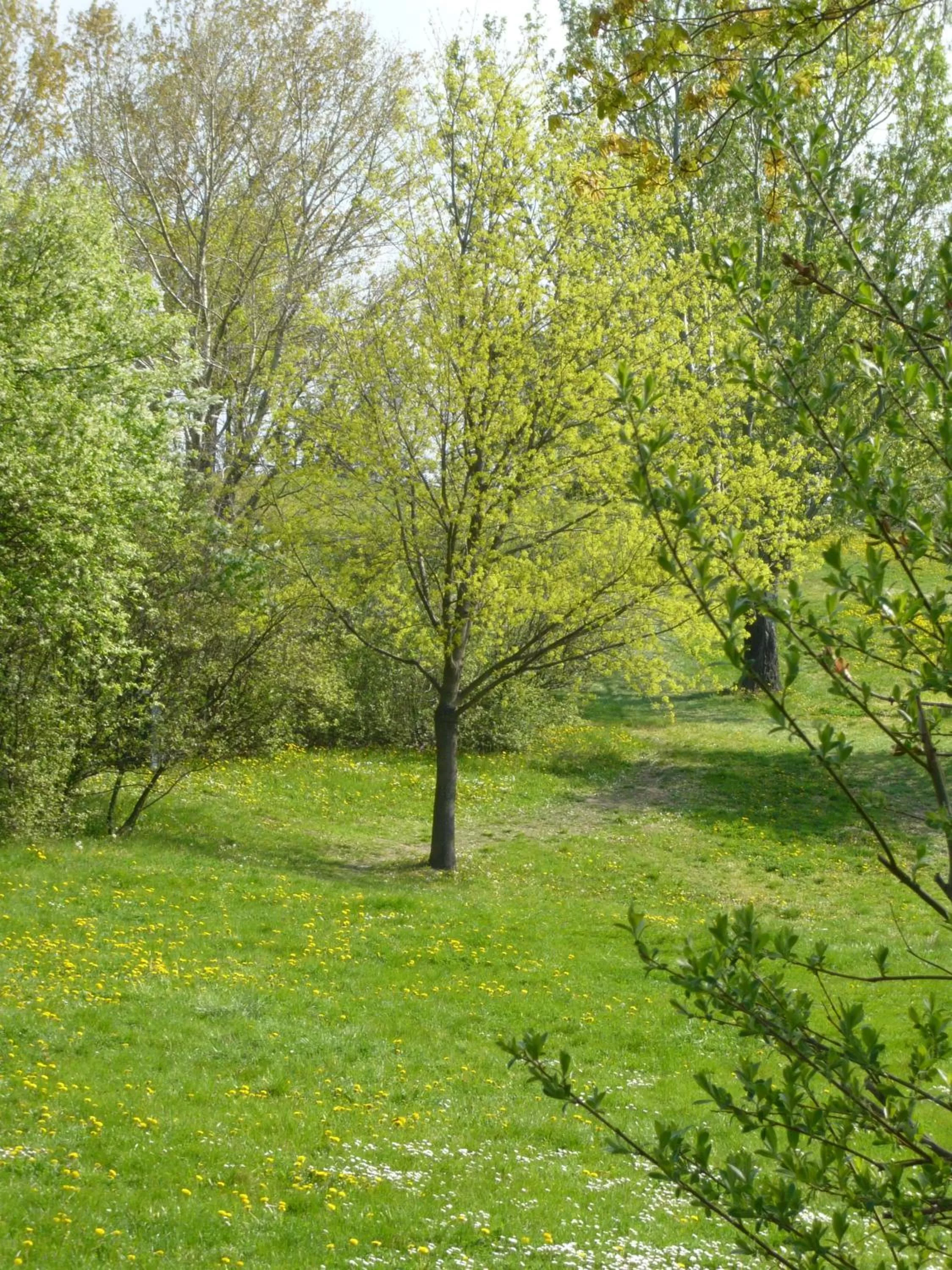 Garden in Good Rooms GmbH Guntramsdorf