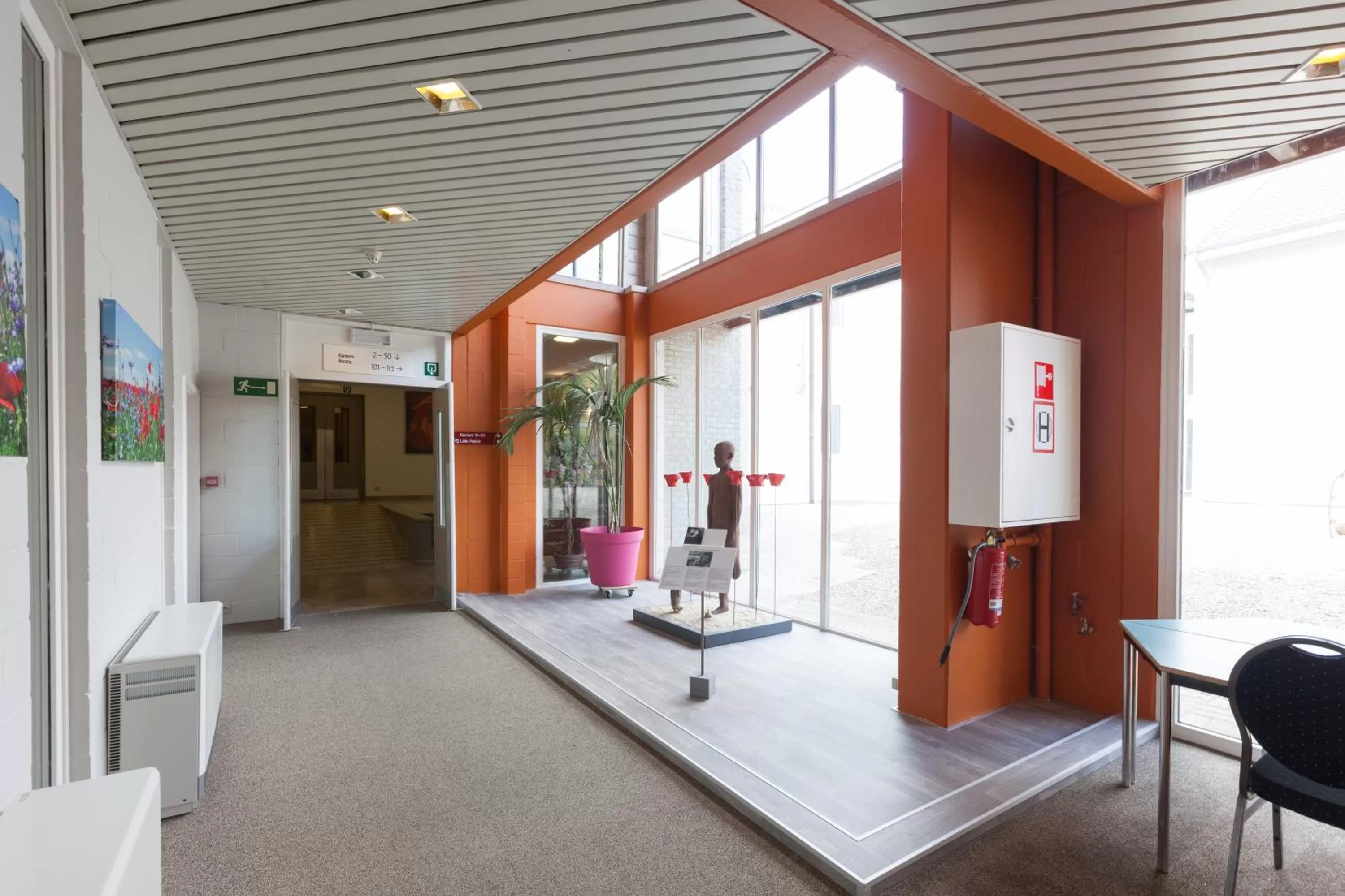 Patio in Flanders Lodge Hotel