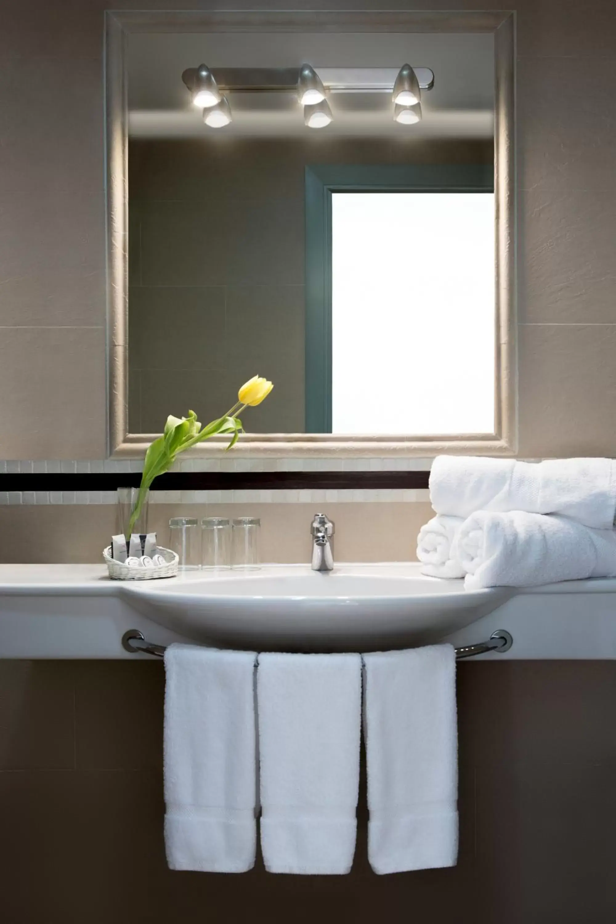 Decorative detail, Bathroom in Hotel Plaza Cavana