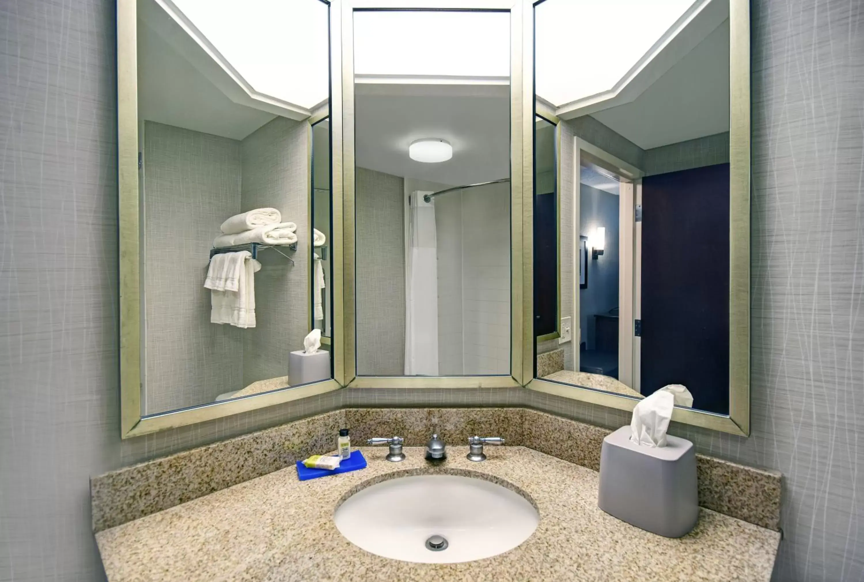Public Bath, Bathroom in Holiday Inn Express & Suites Cincinnati Riverfront, an IHG Hotel
