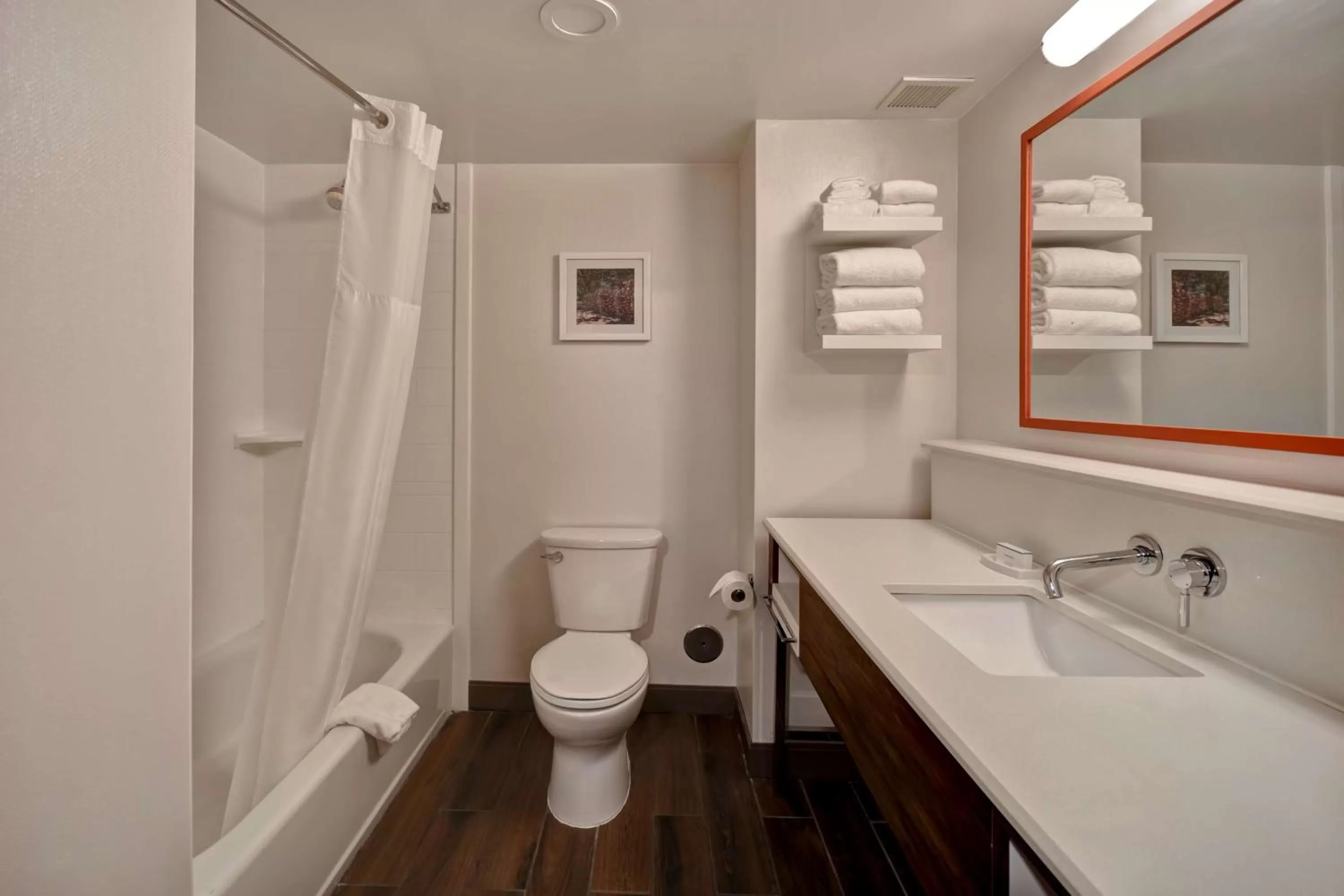 Bathroom in Hampton Inn Birmingham-Colonnade 280