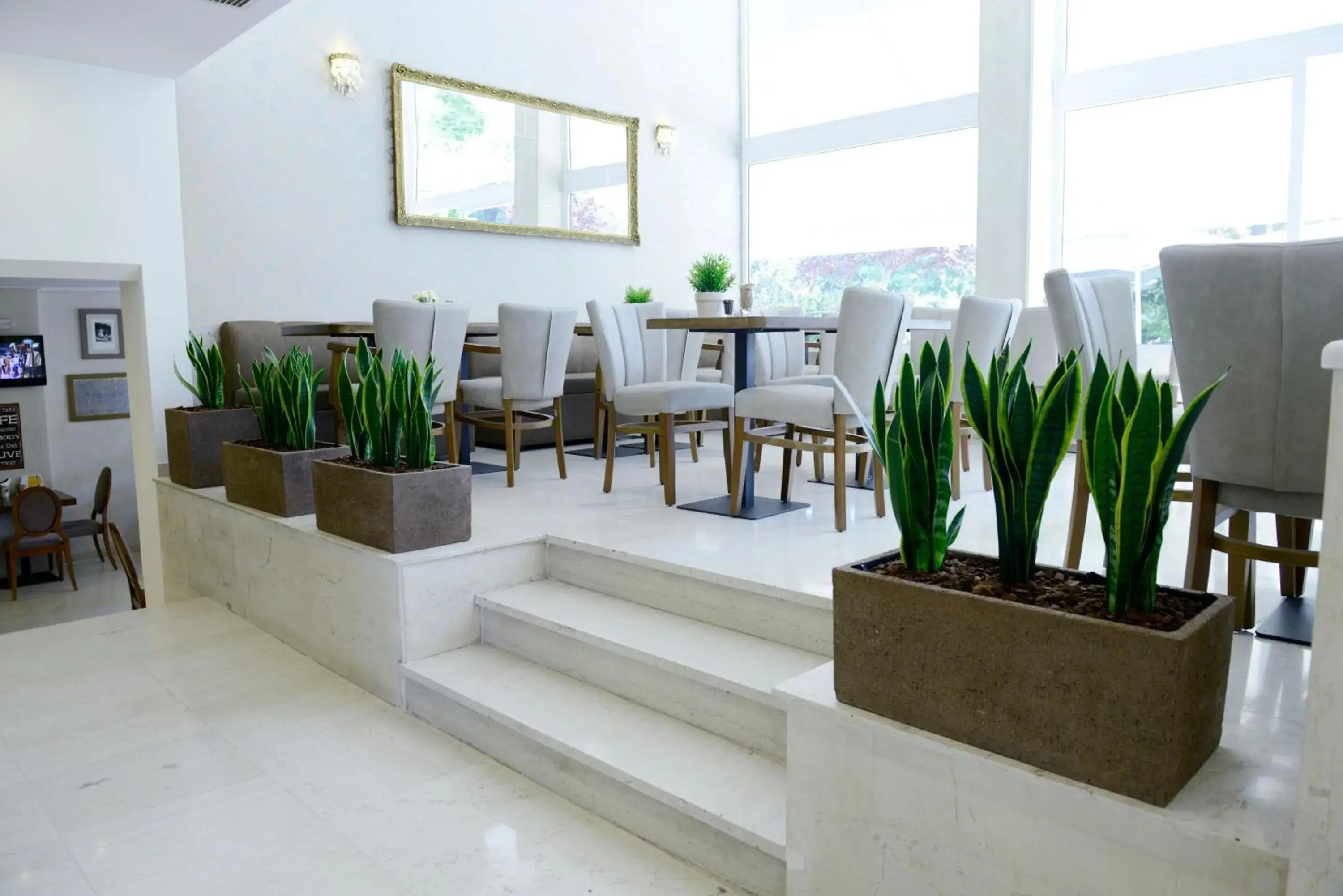 Area and facilities, Restaurant/Places to Eat in Phidias Hotel