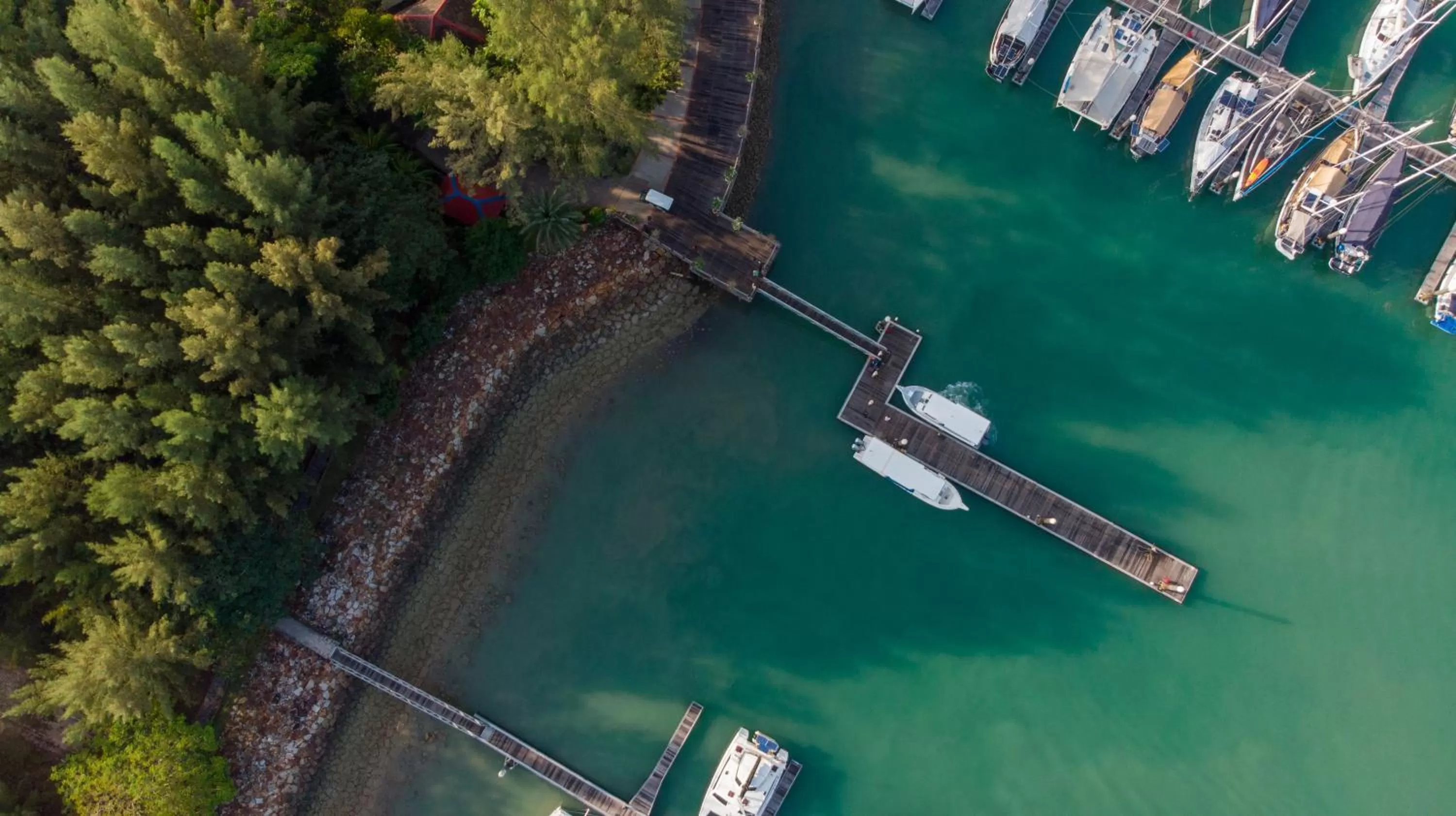 Bird's eye view in Rebak Island Resort & Marina, Langkawi 大自然 野生动物与美食爱好者的天堂
