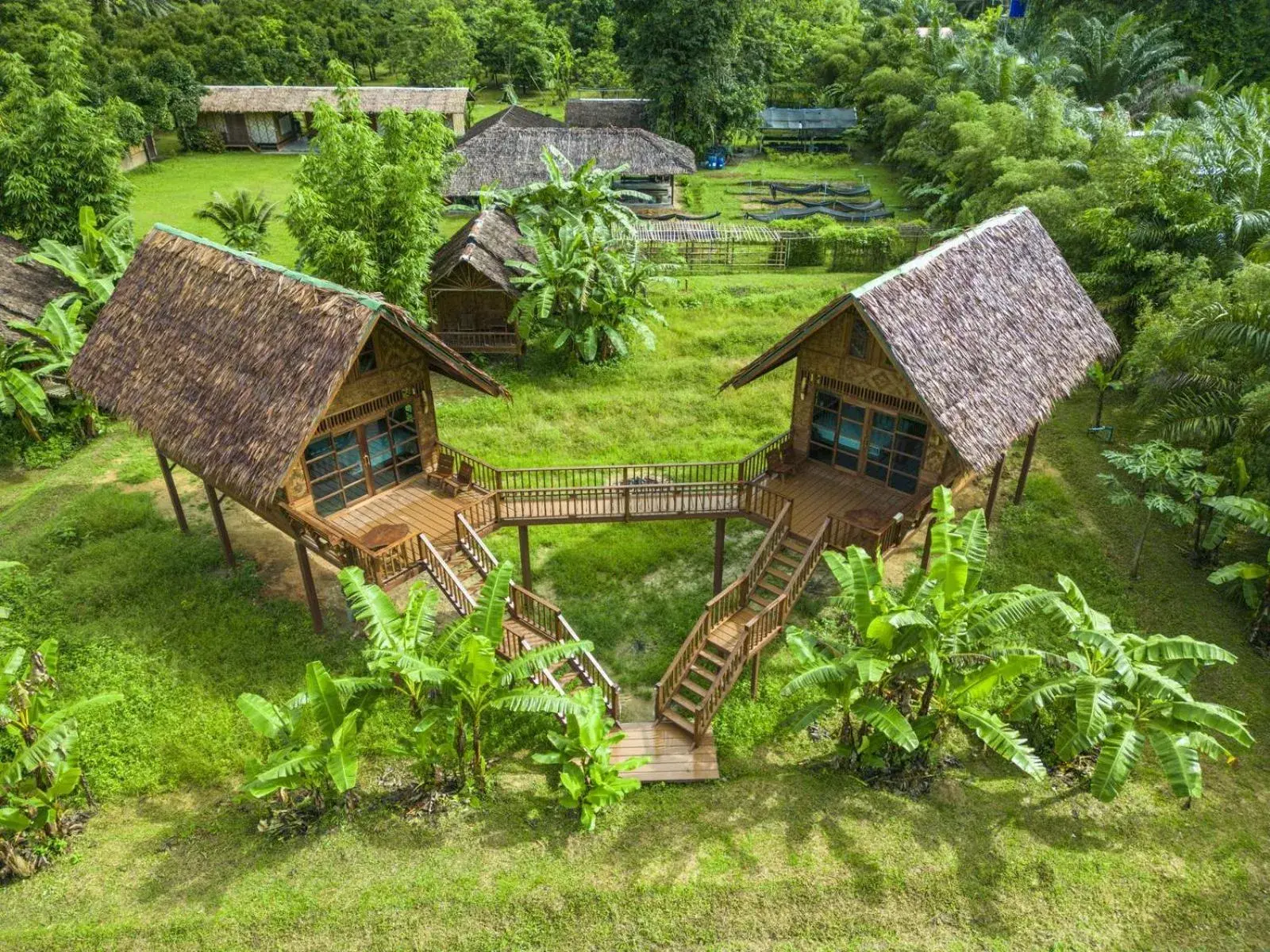 Bird's eye view, Bird's-eye View in Our Jungle Camp - Eco Resort SHA Certified