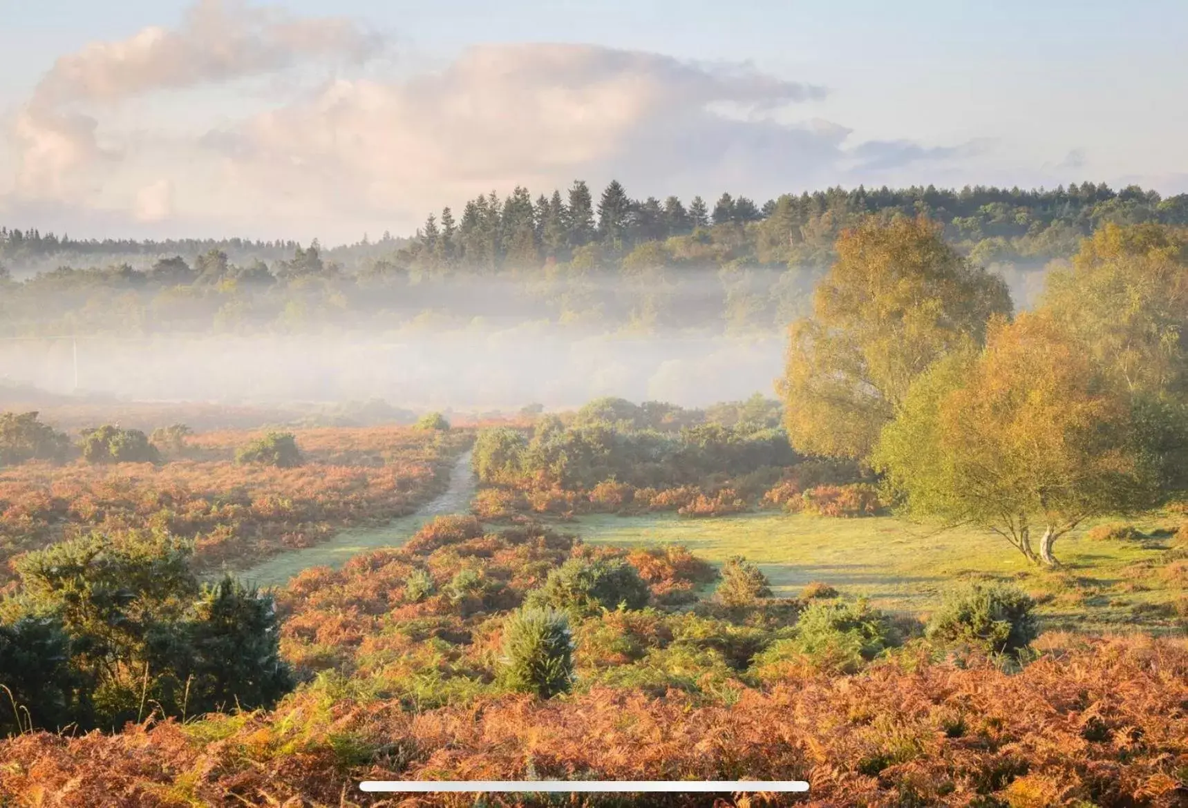 Natural Landscape in Holbury B&B