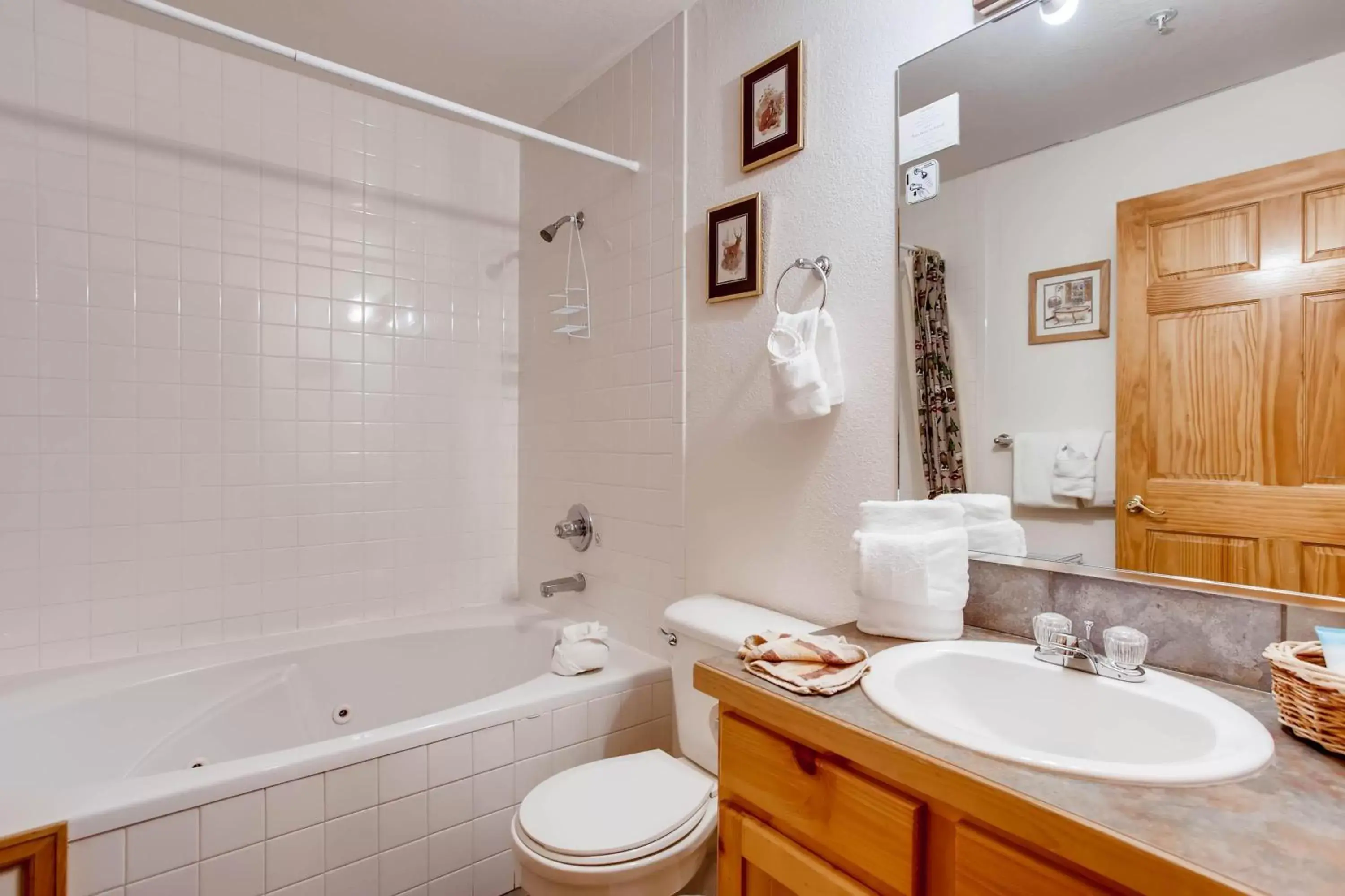 Shower, Bathroom in Estes Park Condos