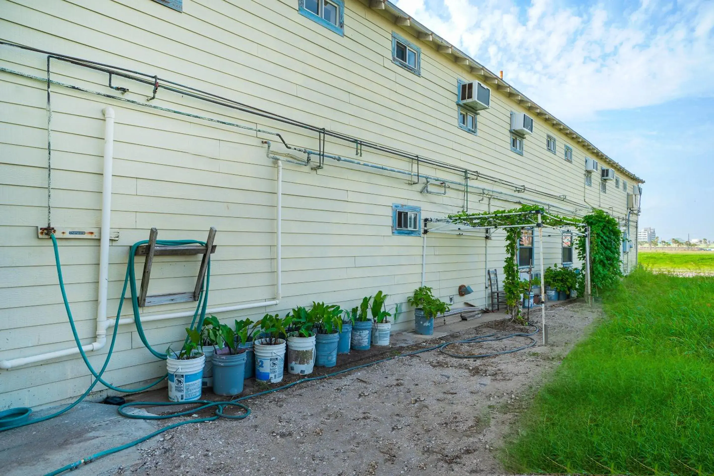 Garden, Property Building in Budget Inn By OYO Corpus Christi Beach