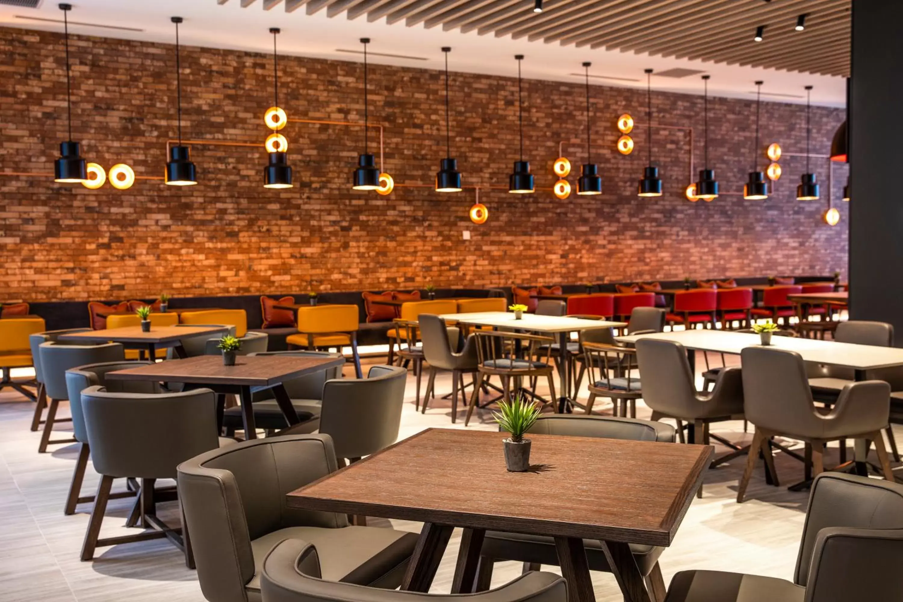 Restaurant/Places to Eat in Holiday Inn Express Melbourne Little Collins, an IHG Hotel