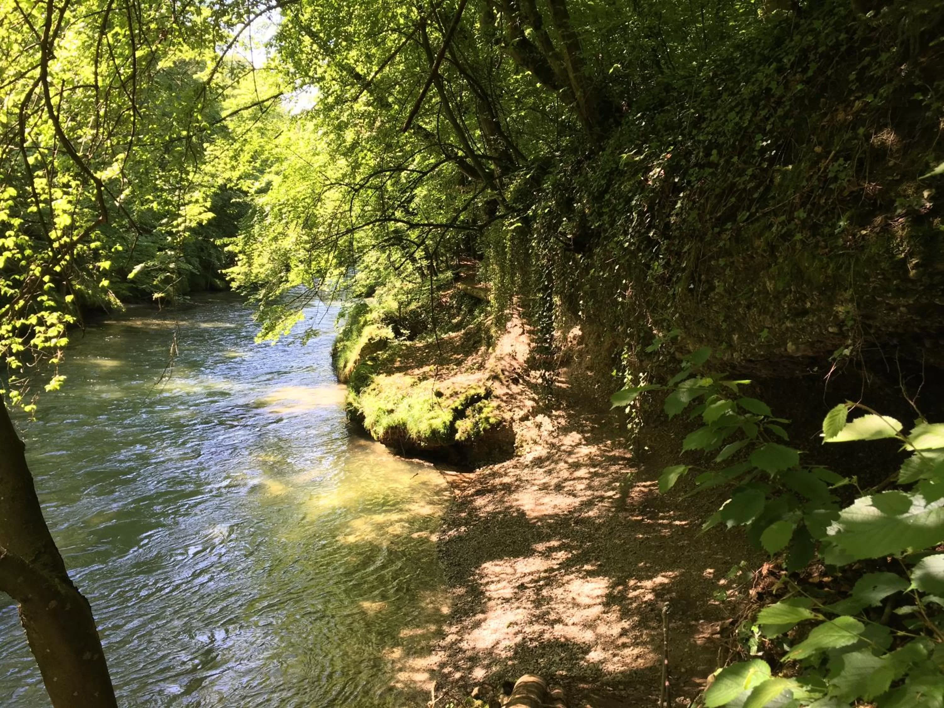 Hiking in Gasthof Teufl