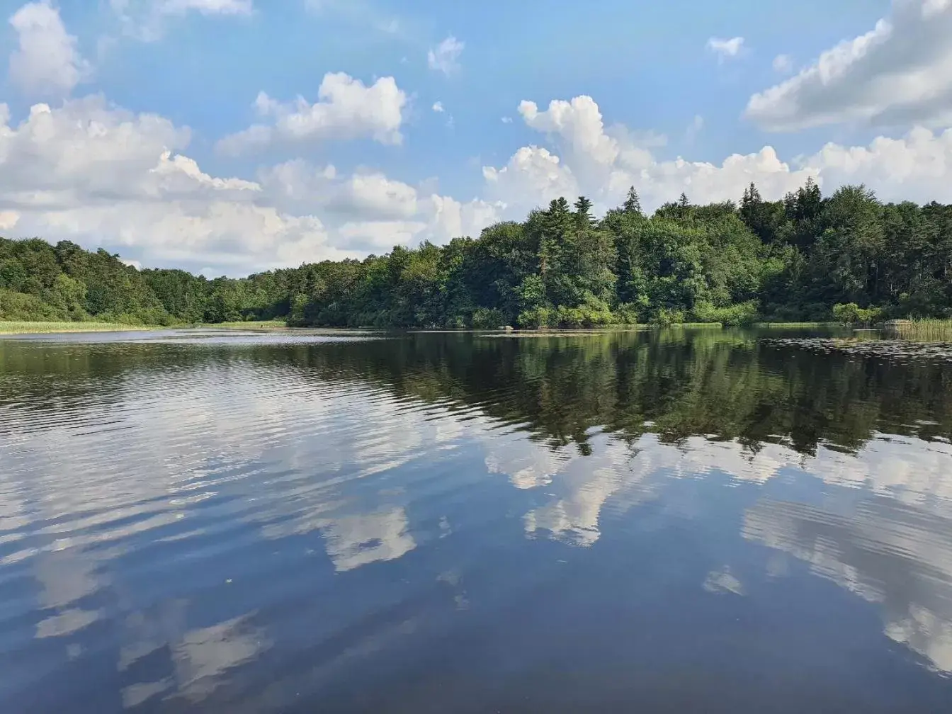 Lake view in A l'Ecole Buissonnière