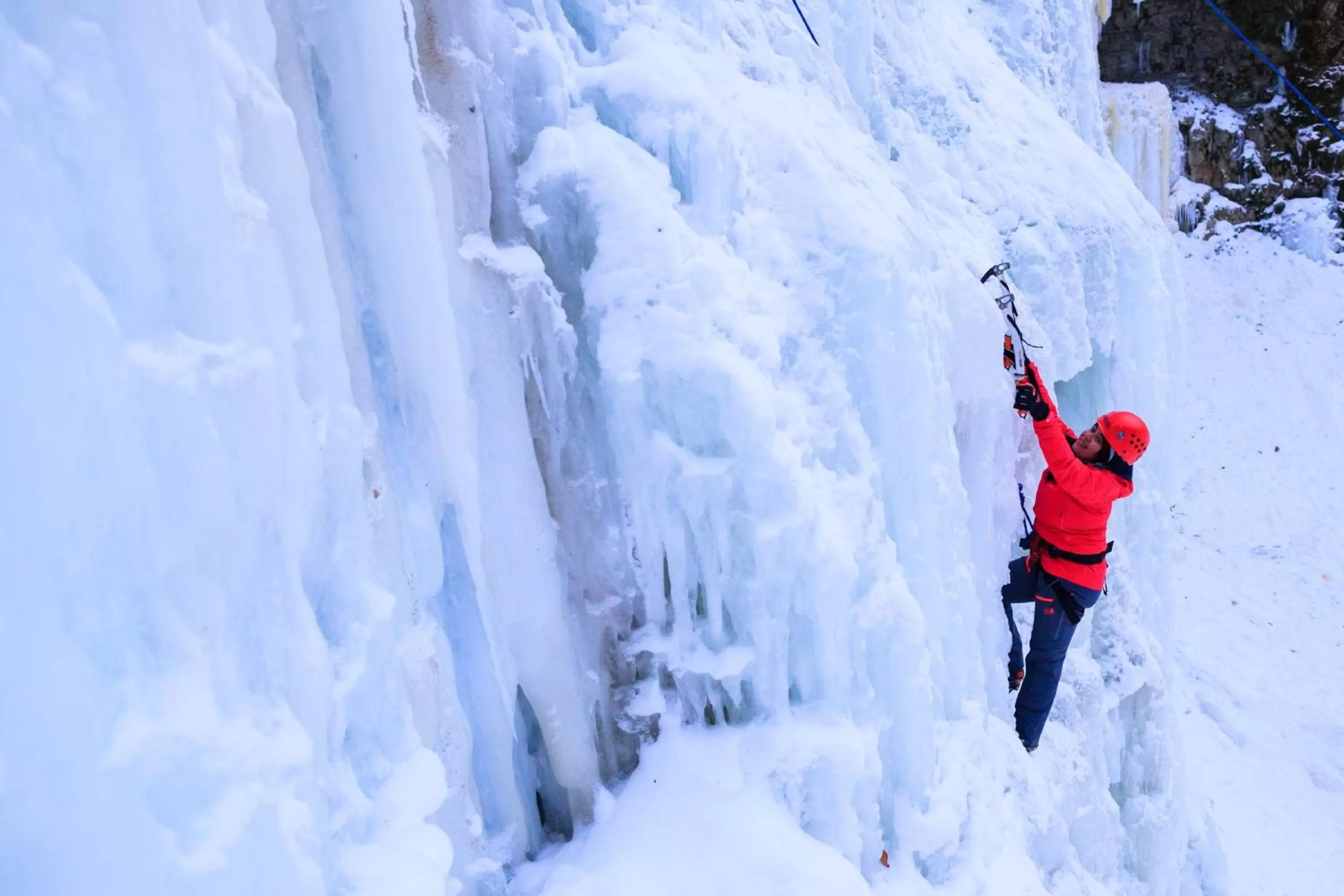 Area and facilities in Staybridge Suites Hamilton - Downtown by IHG