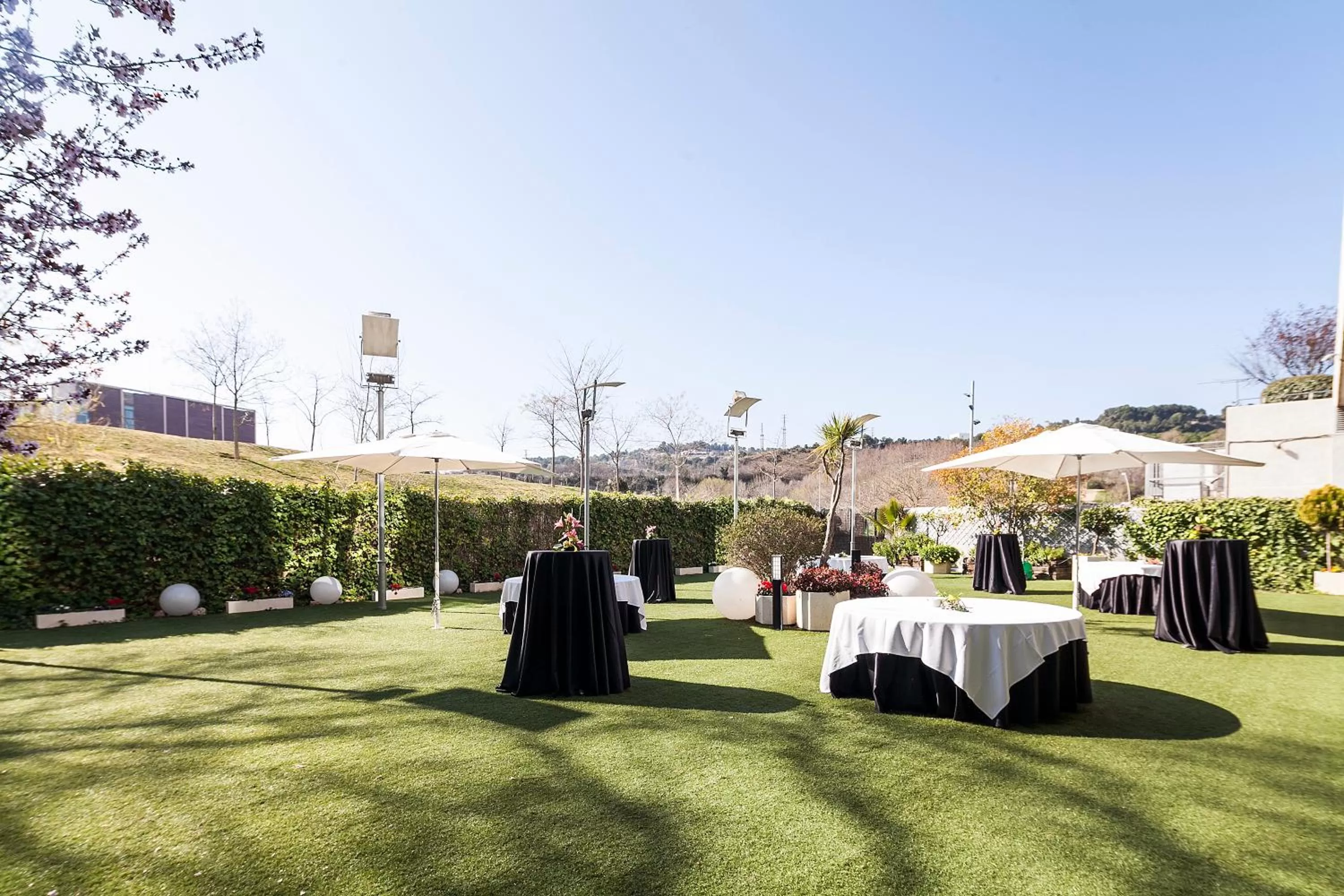 Garden in Eurostars Don Cándido