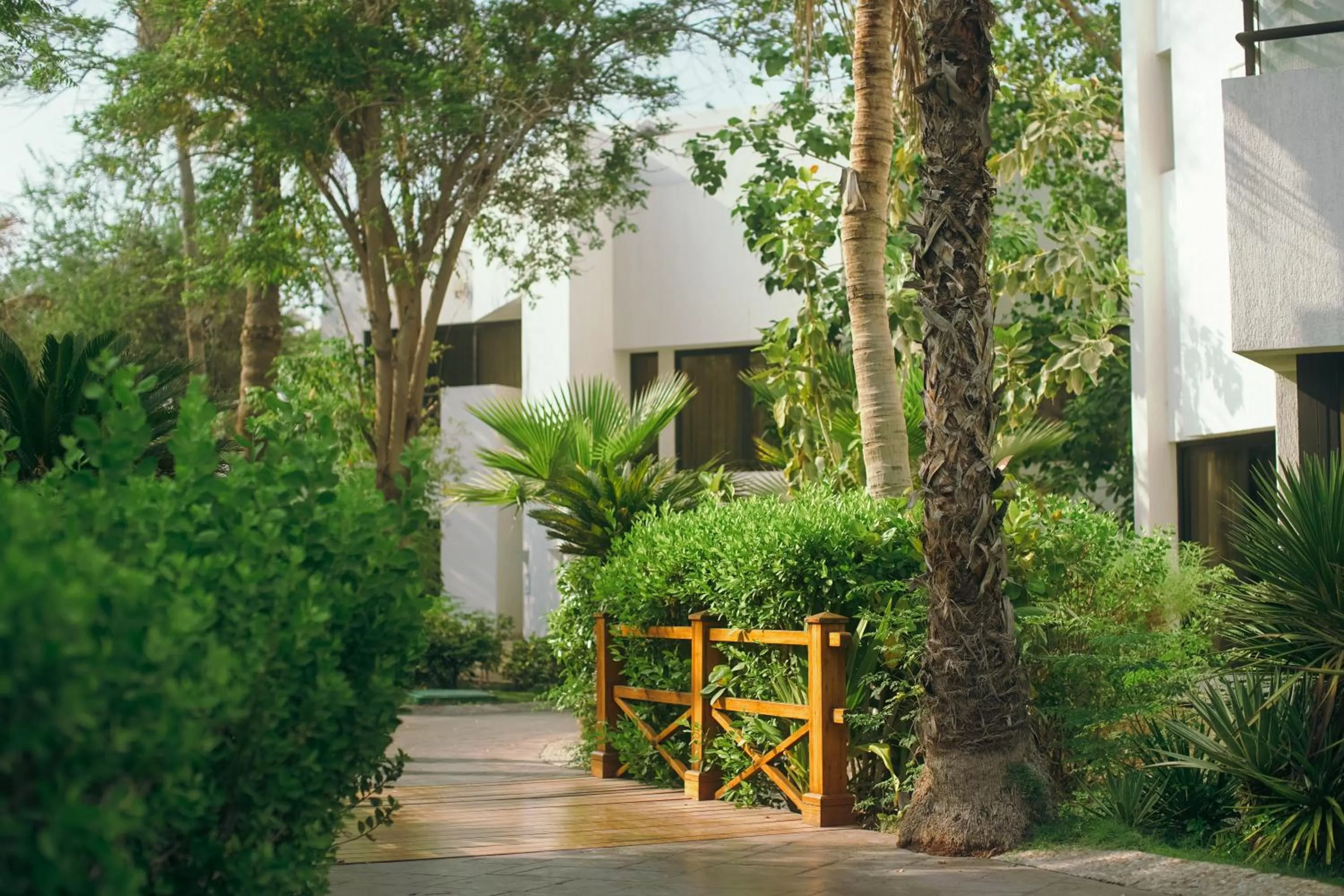 Garden in Dubai Marine Beach Resort & Spa