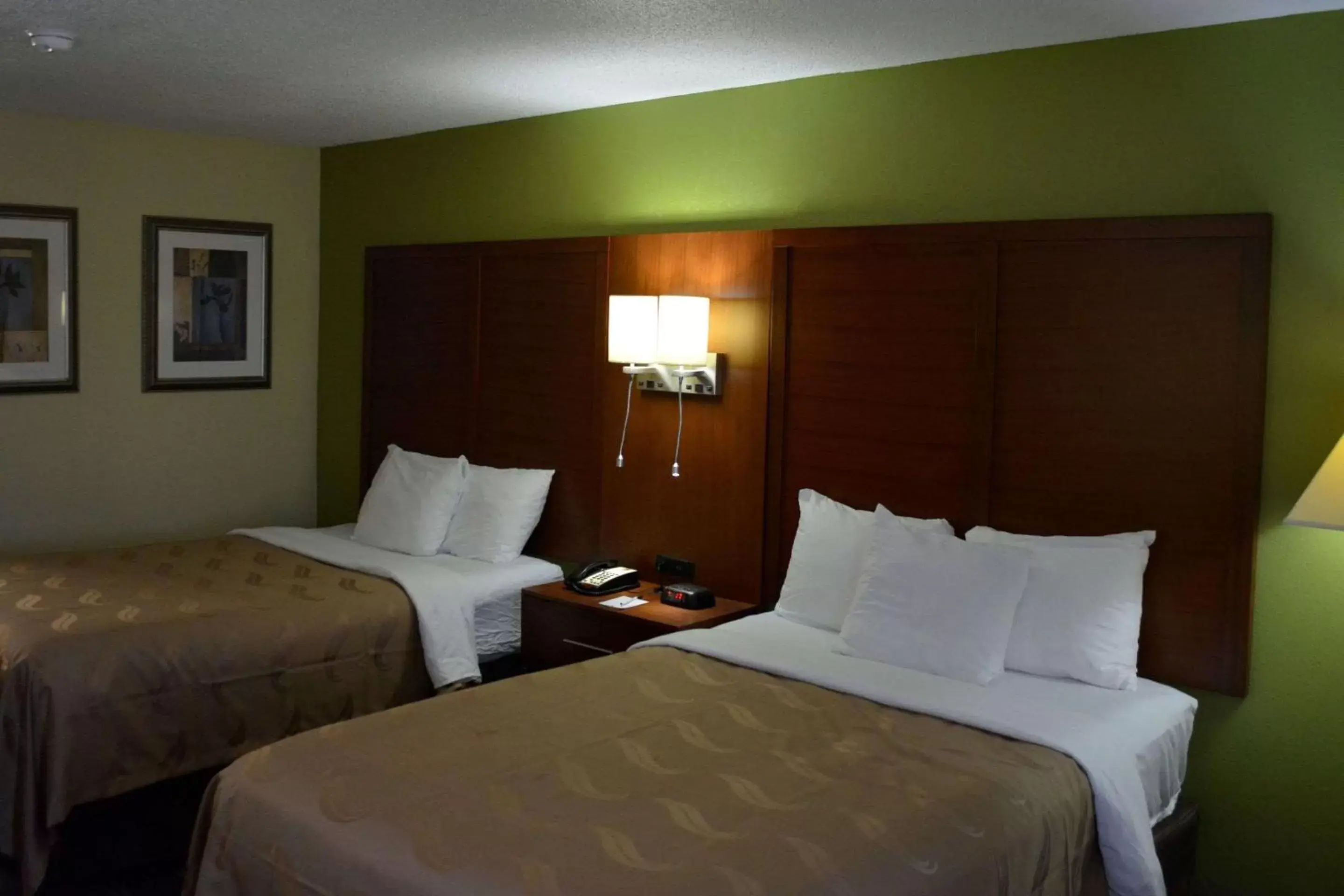 Photo of the whole room, Bed in Quality Inn Midtown Savannah