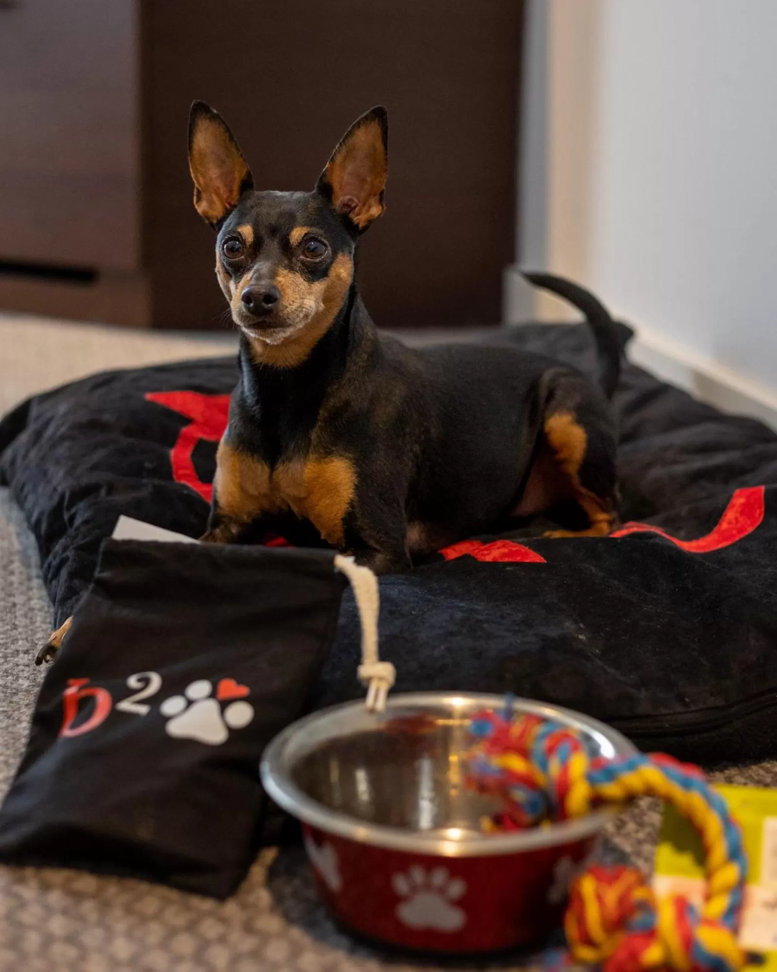 Bermondsey Square Hotel - A Bespoke Hotel