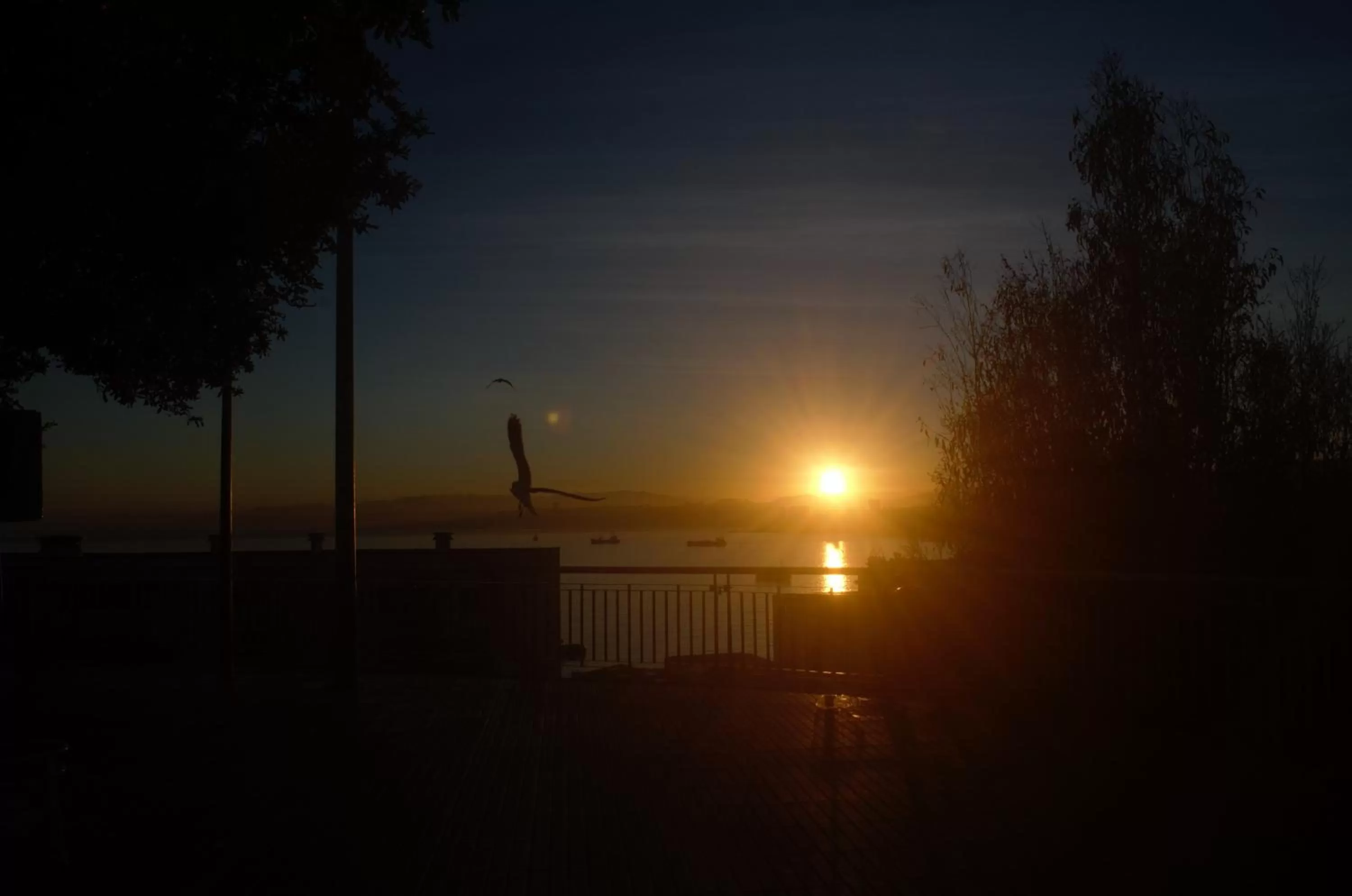 Facade/entrance in Hotel Manoir Atkinson