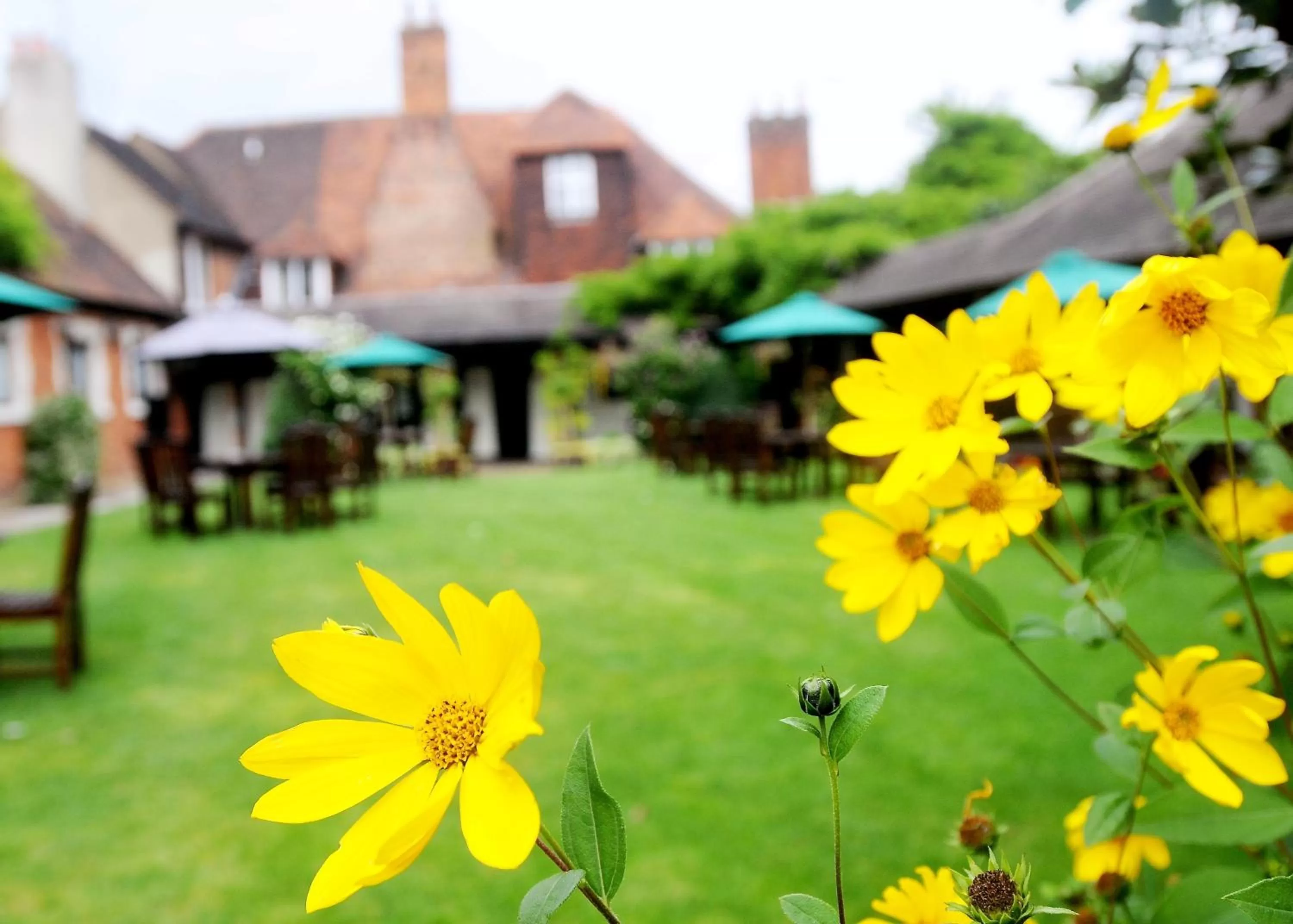 Facade/entrance in Marygreen Manor