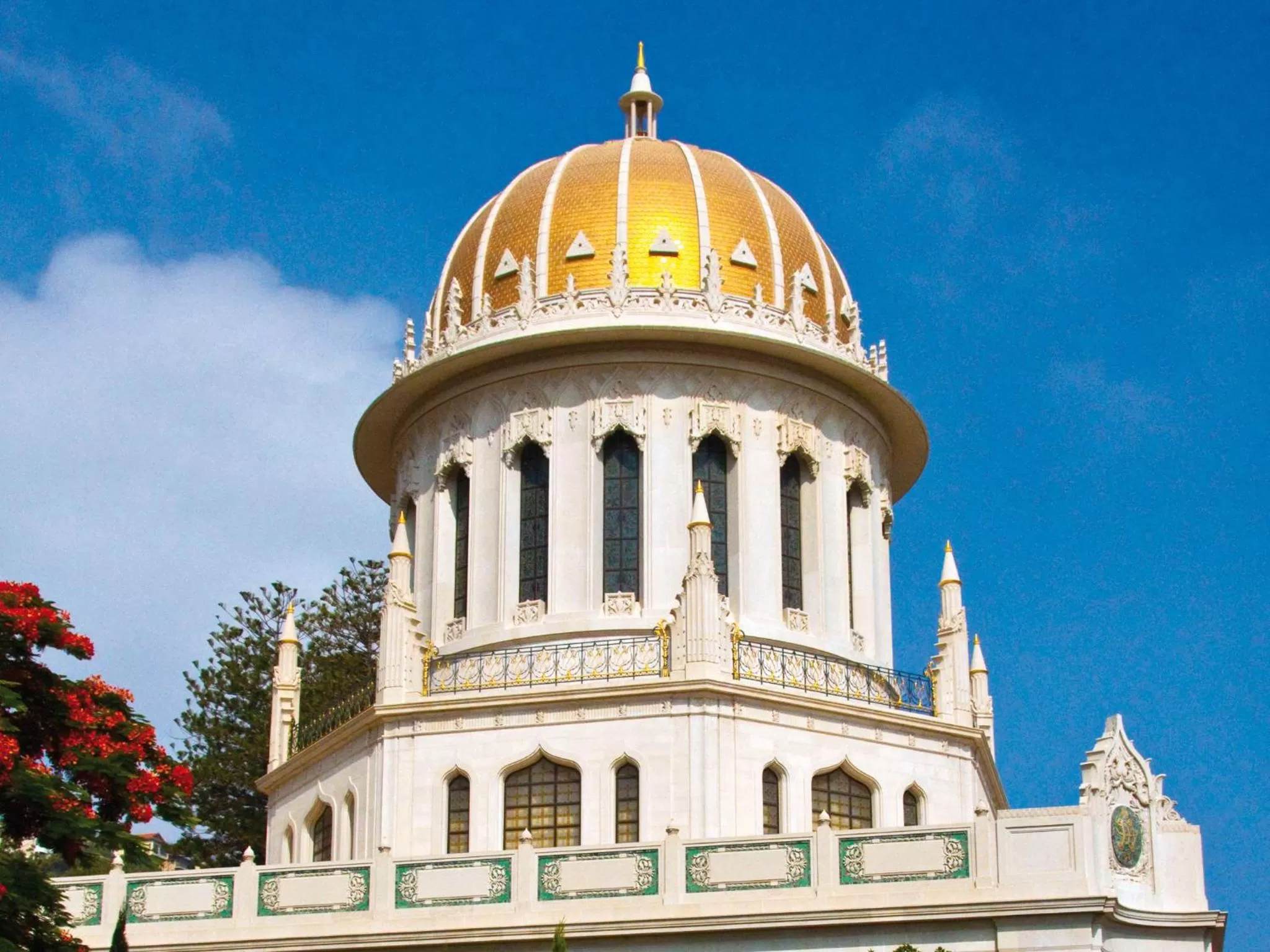 Area and facilities in Dan Carmel Haifa