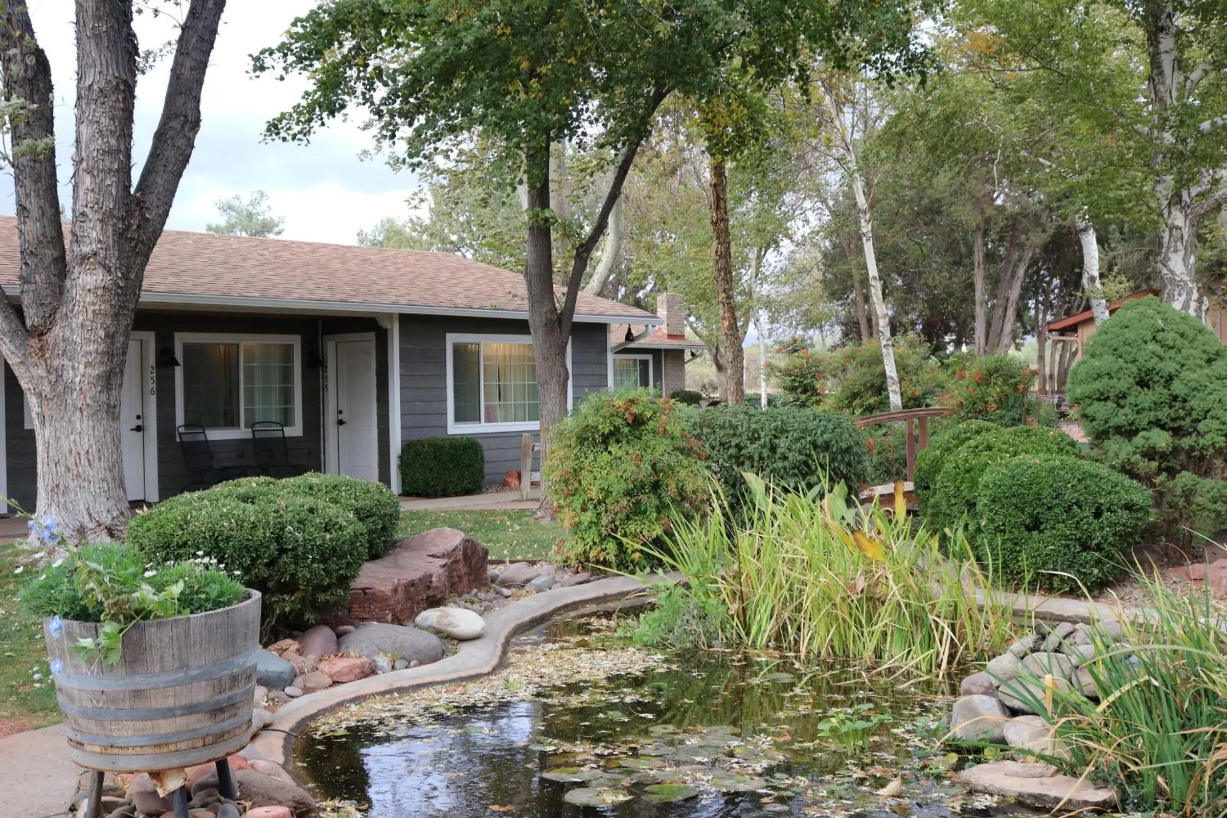 Garden view in Sky Ranch Lodge