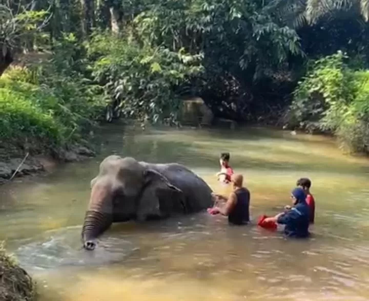 Activities in Khao Sok River & Jungle Resort