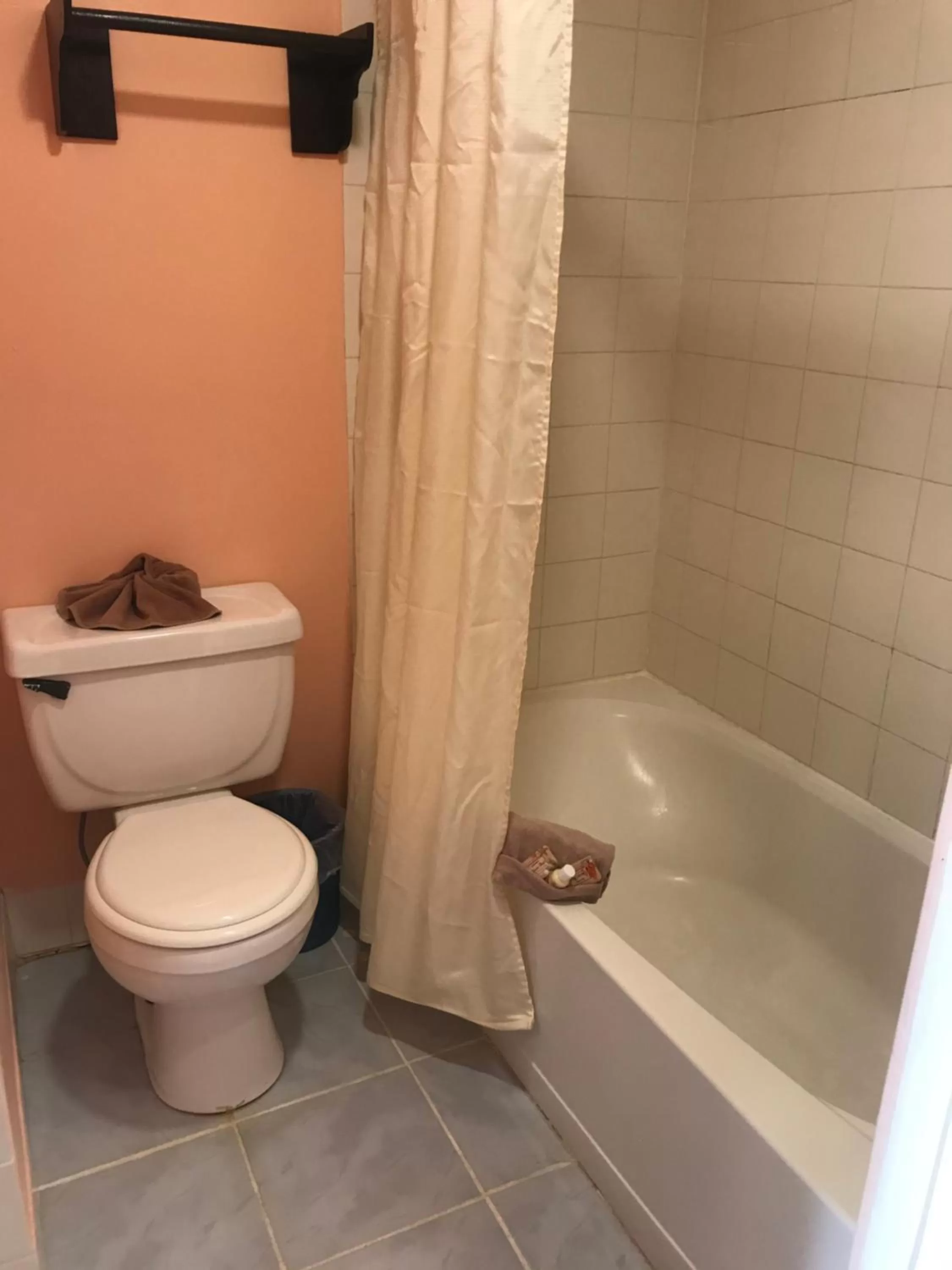 Toilet in Tropical Paradise Express