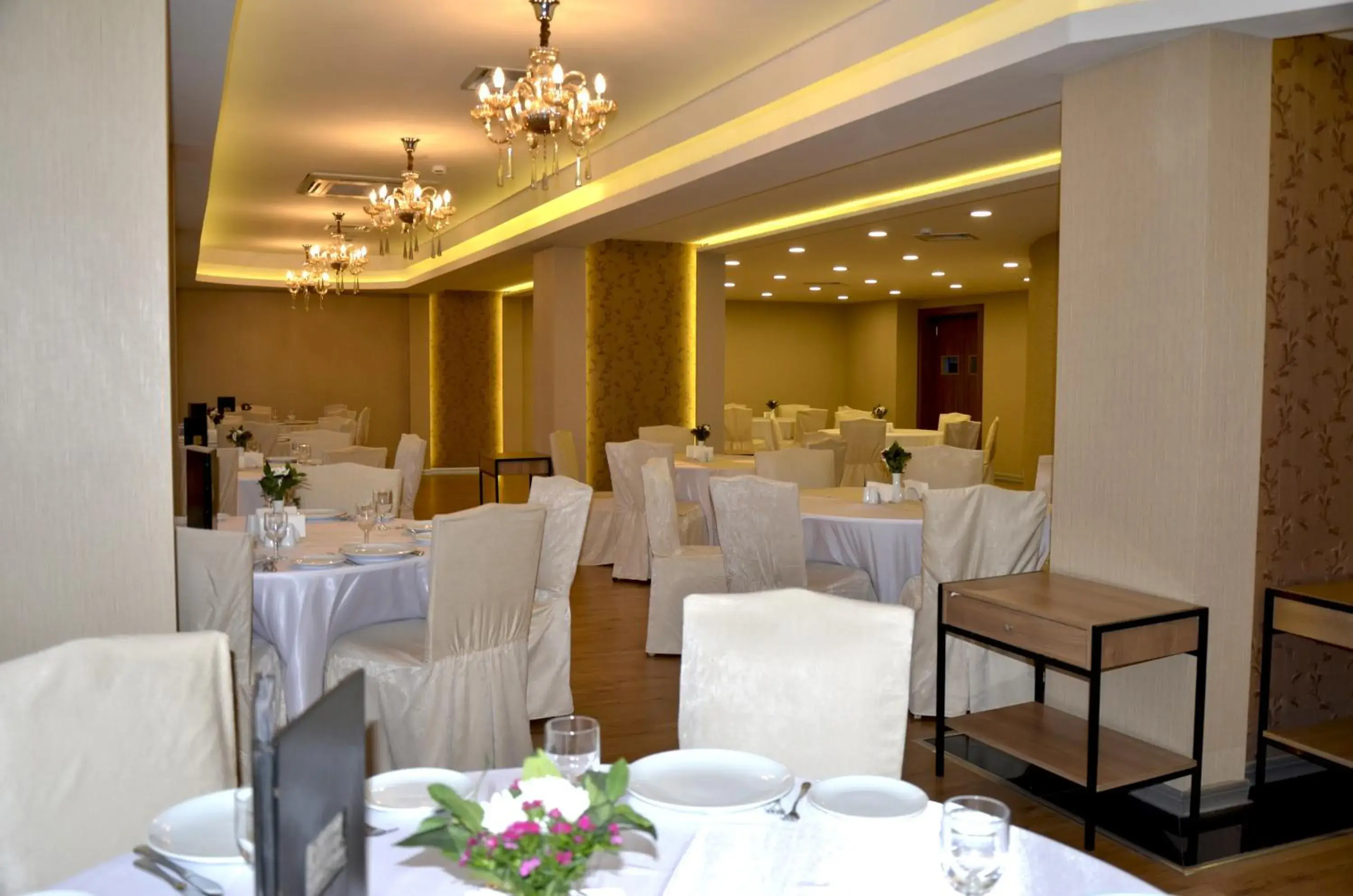 Banquet/Function facilities, Restaurant/Places to Eat in Hotel Tilmen