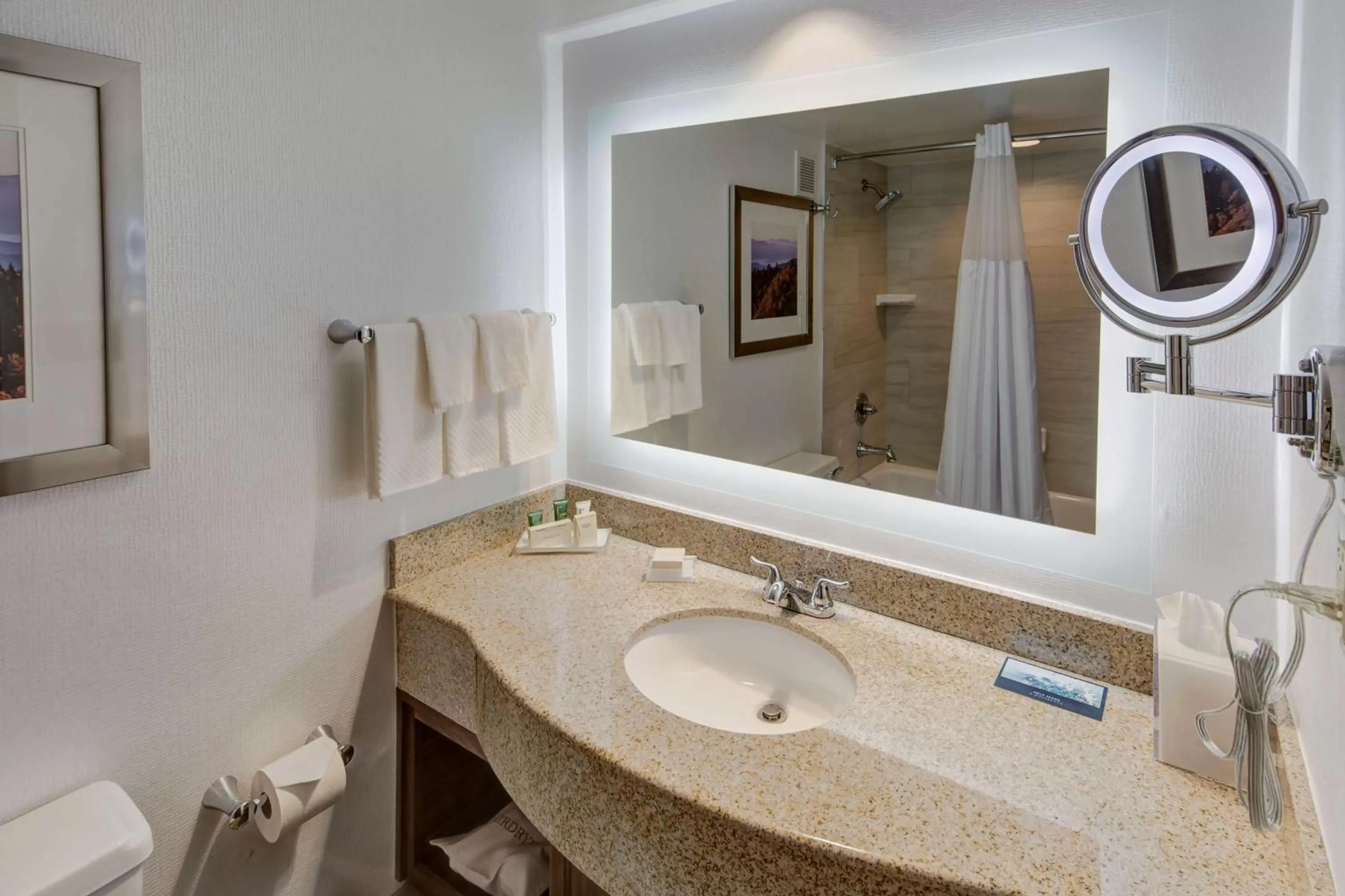 Bathroom in Hilton Knoxville Airport