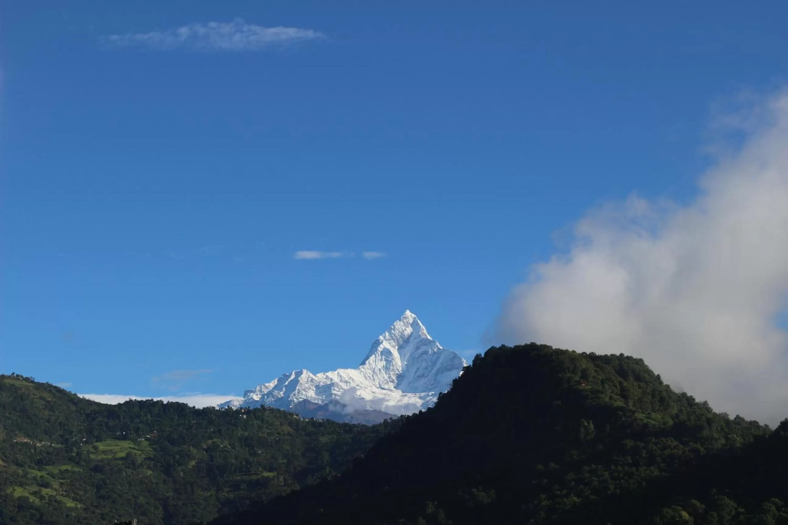 Mountain view in Hotel Buttercup