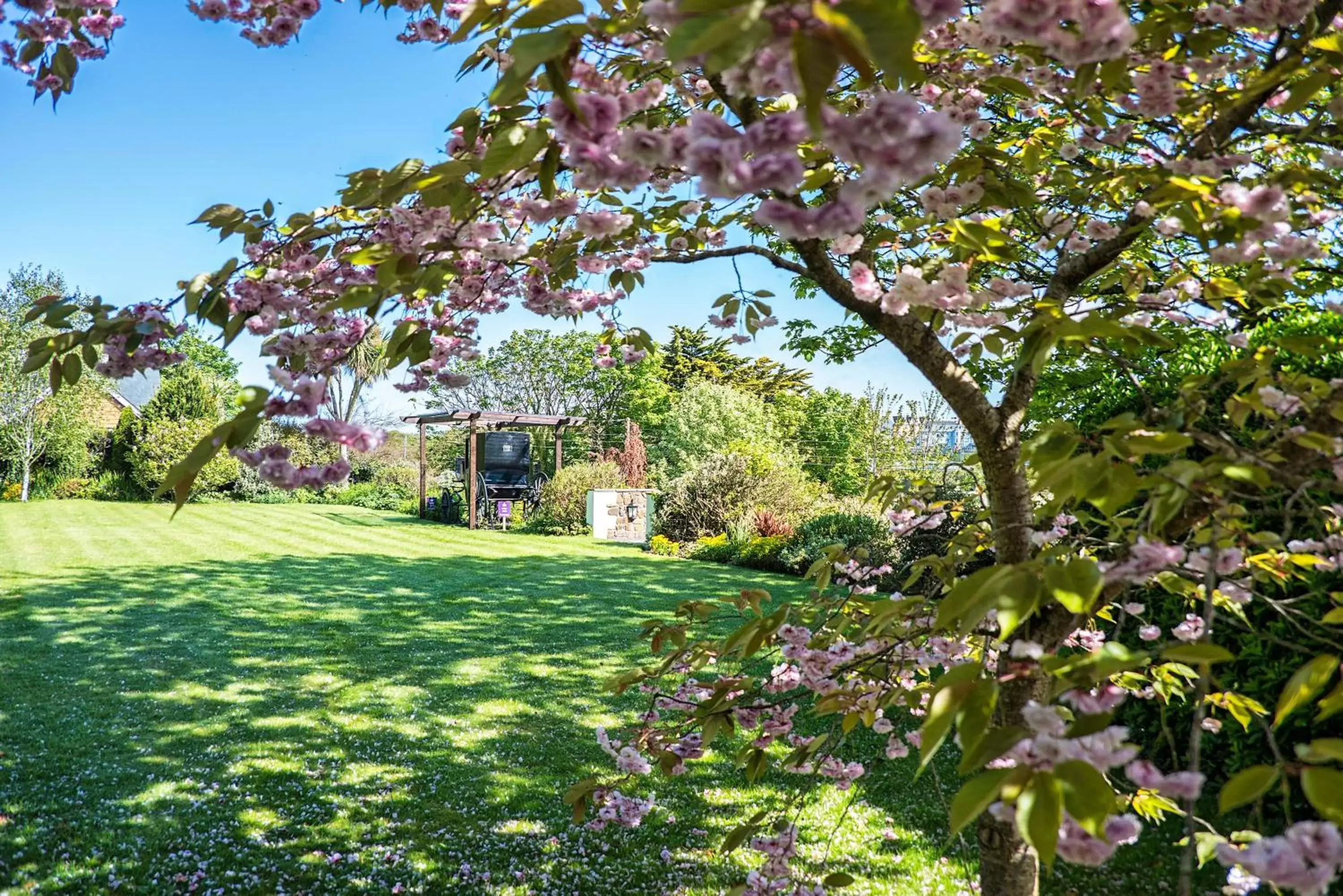 Garden in The Falcon Hotel