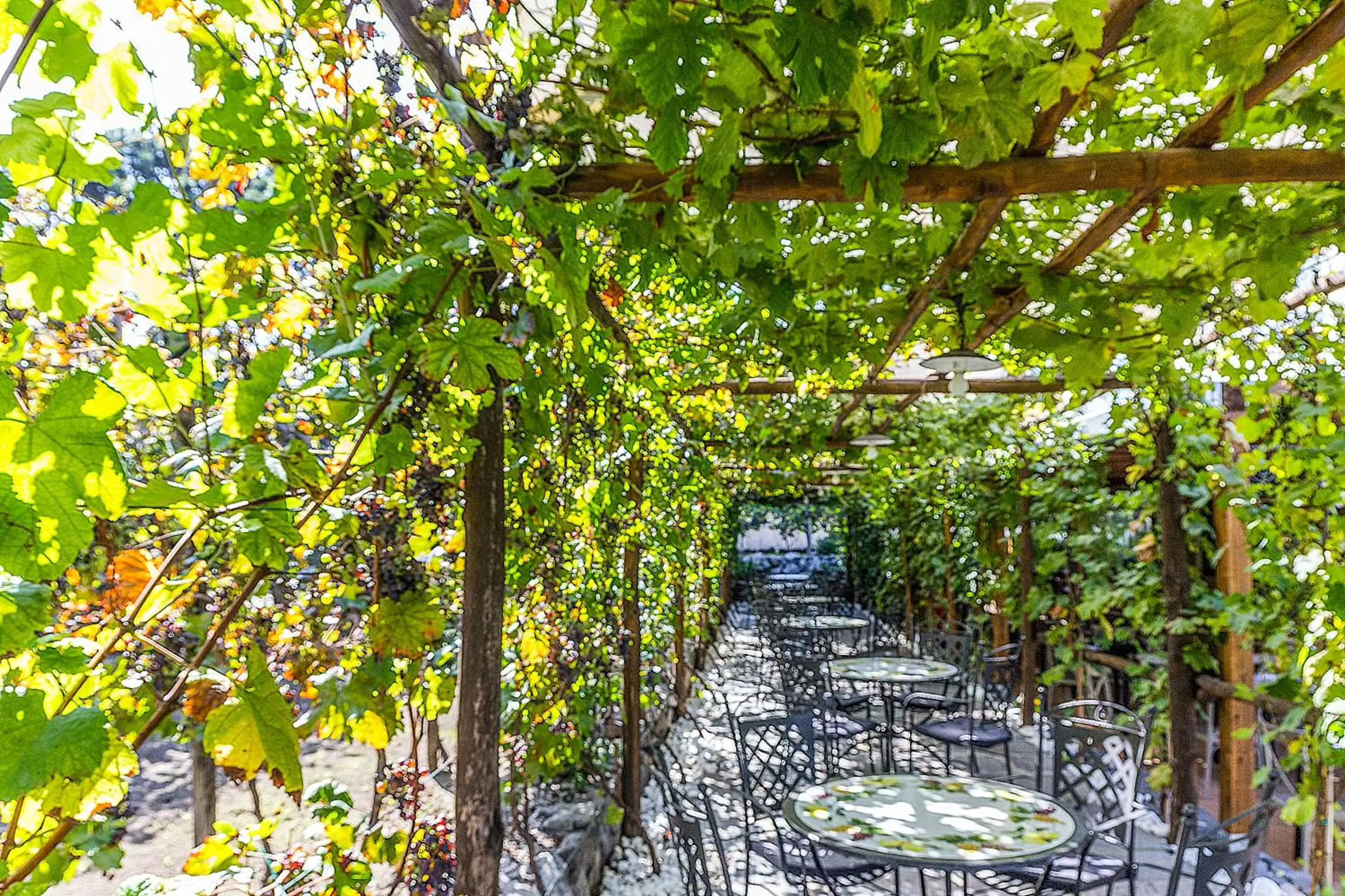 Patio in Resort & Winery Bosco De Medici