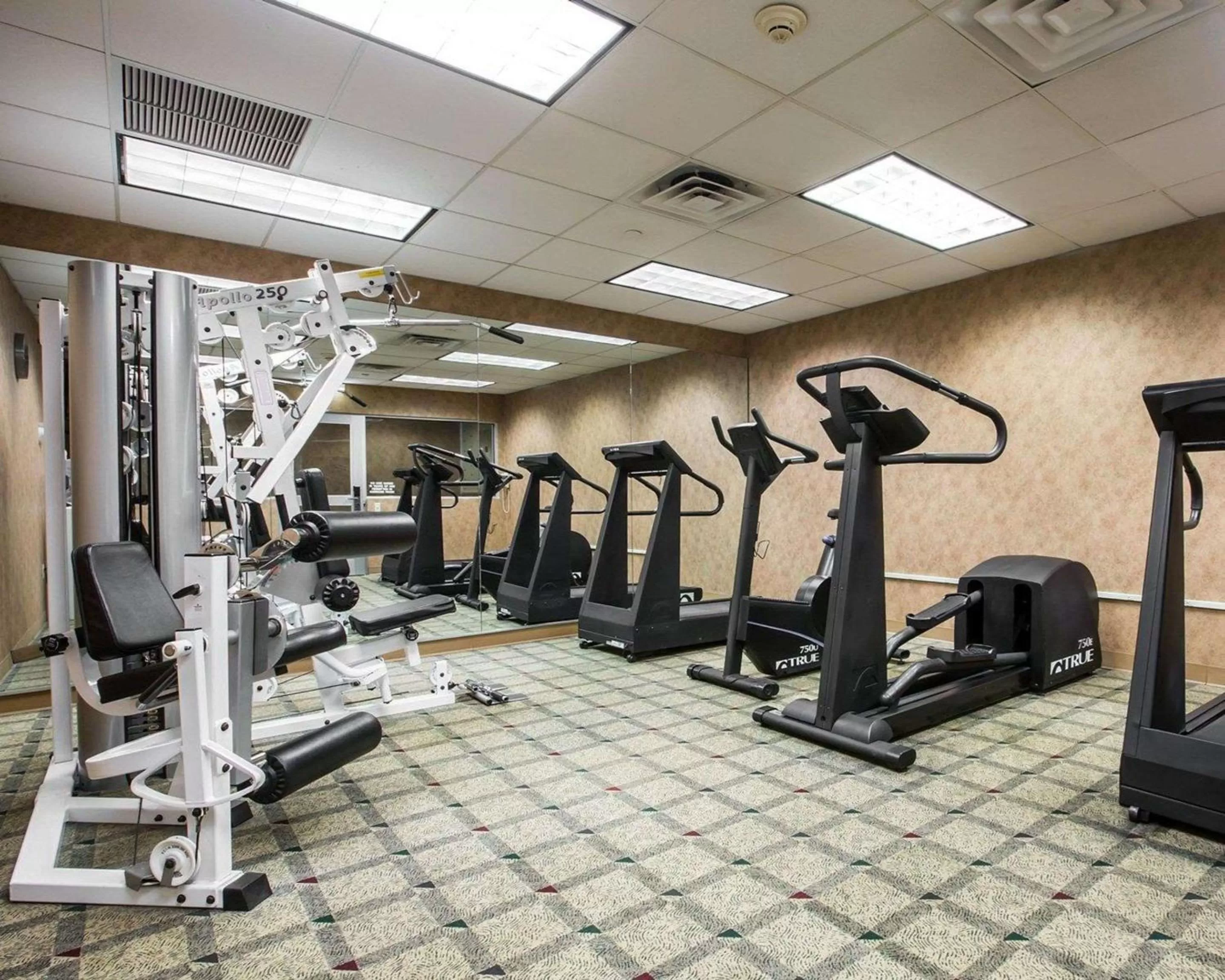 Fitness centre/facilities in Comfort Inn & Suites Hawthorne