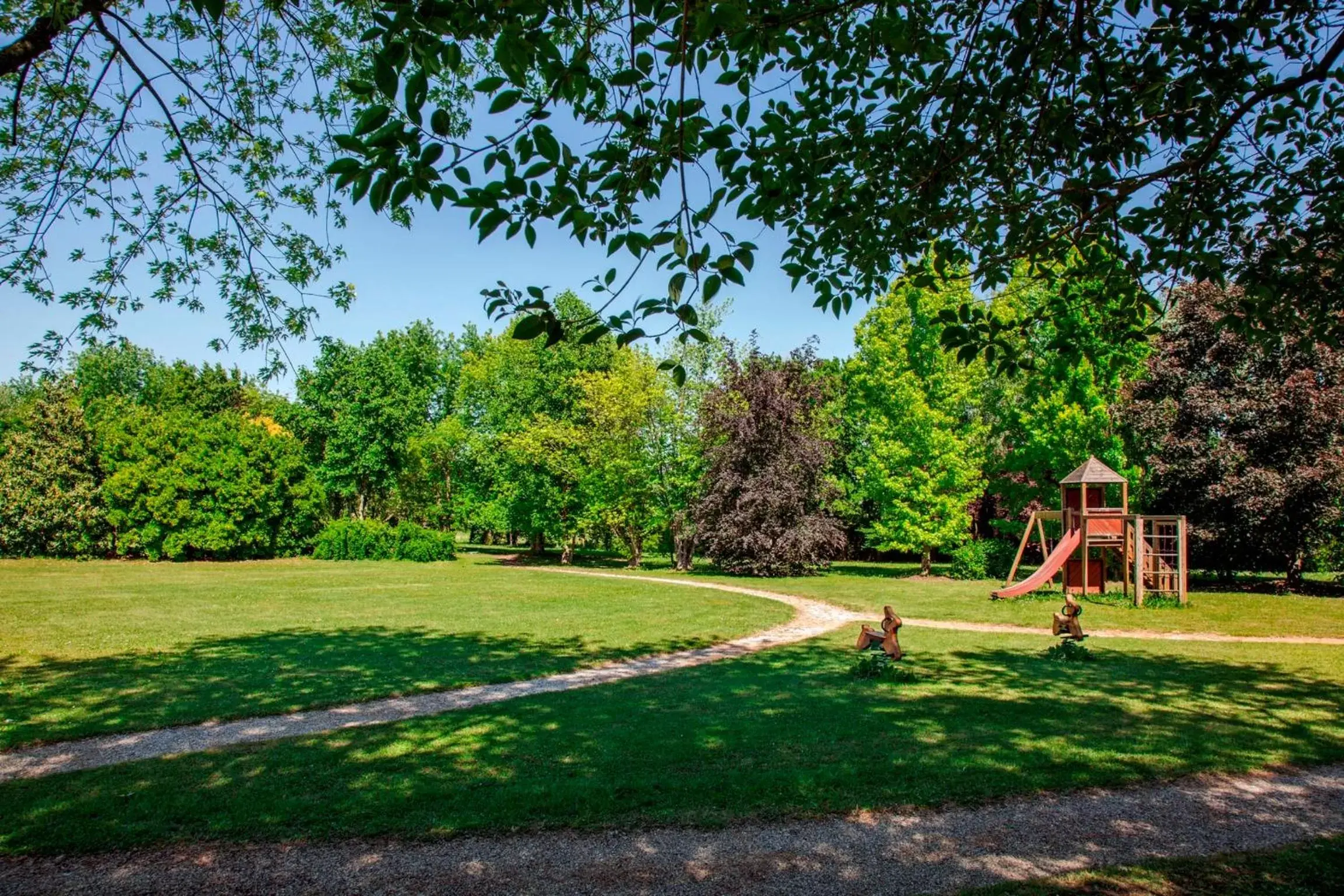 Garden in Park Hotel Junior