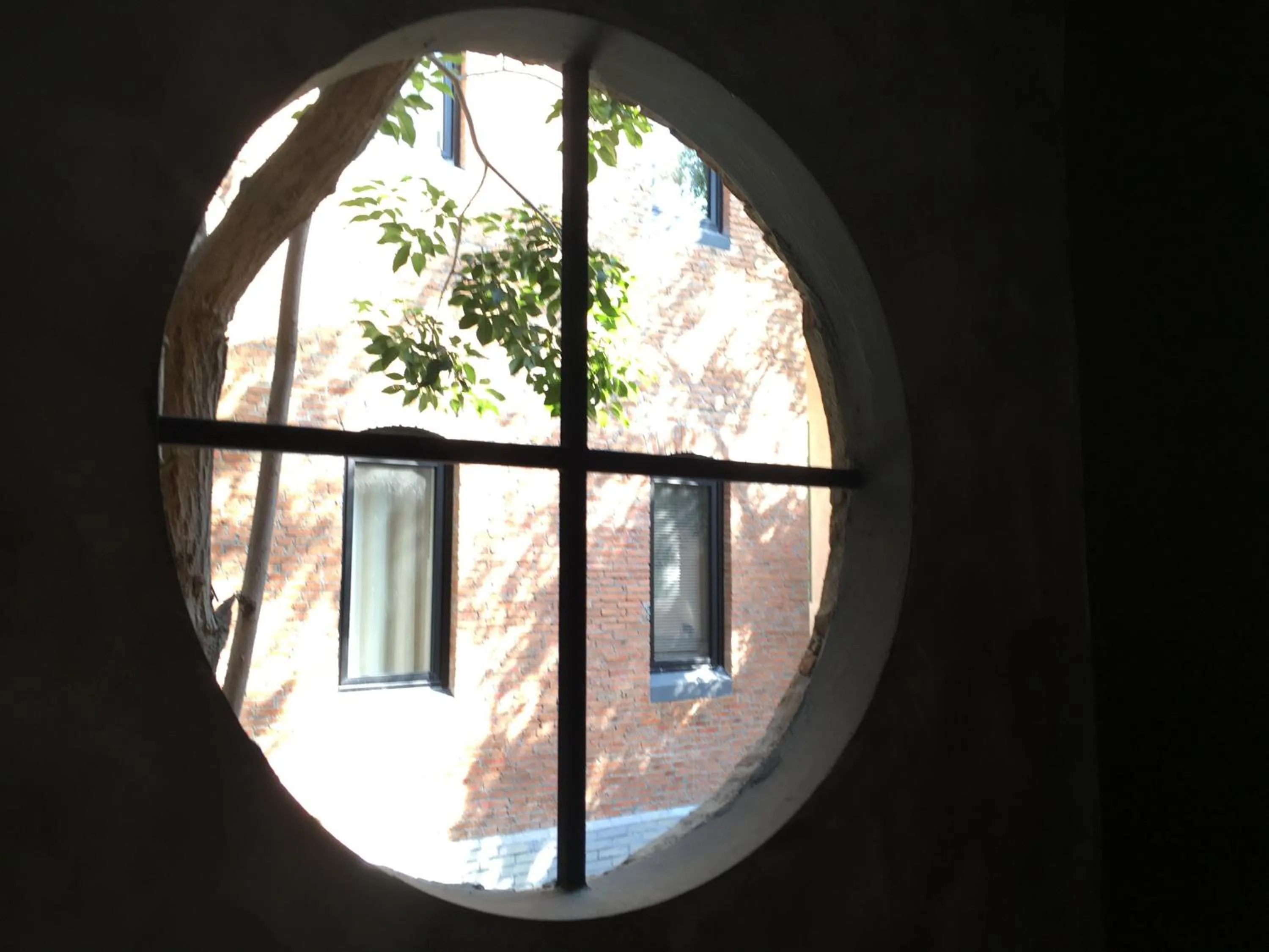 Garden view in Hotel Noir