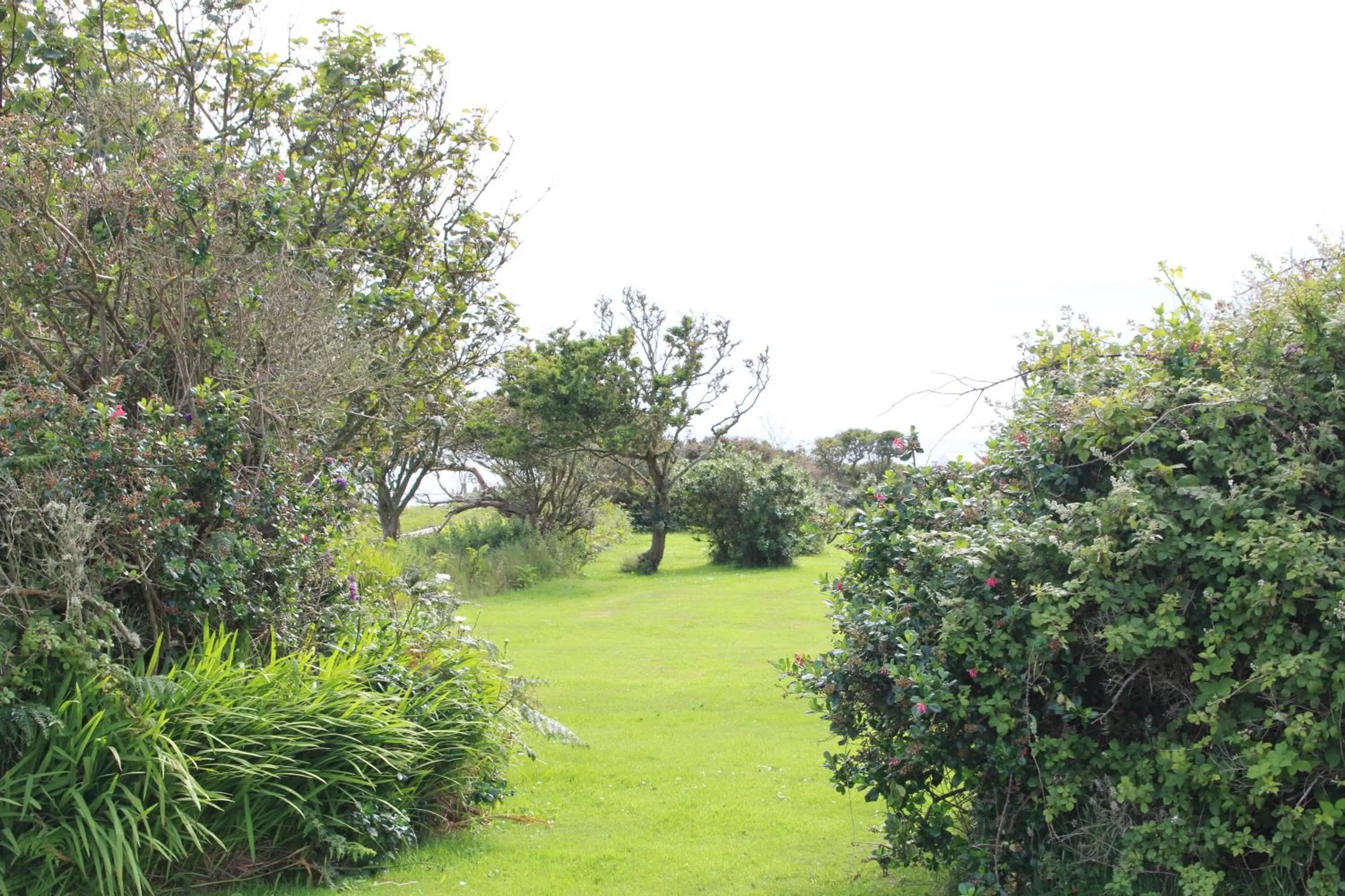 Garden in Sea and Mountain View Luxury Glamping Pods Heated