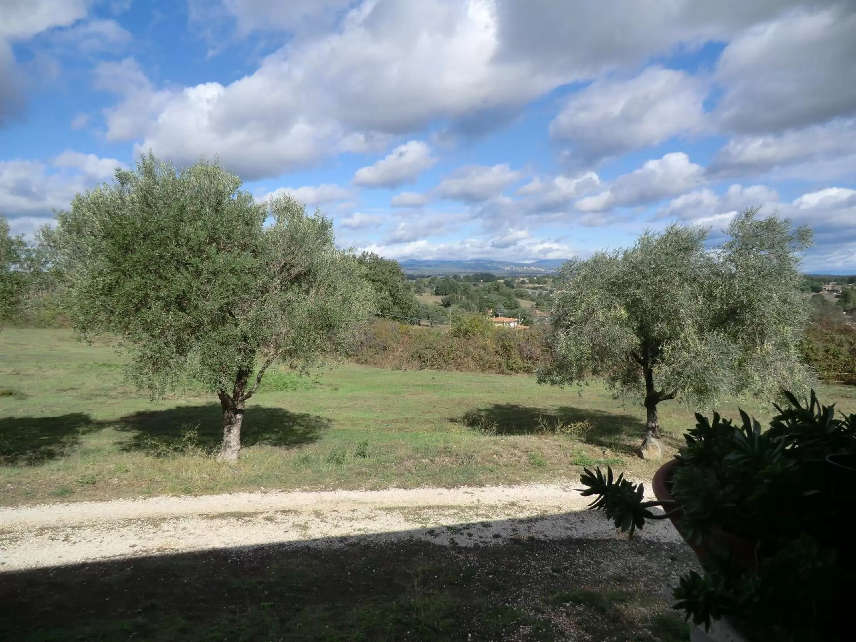 Garden view in La Nepitella