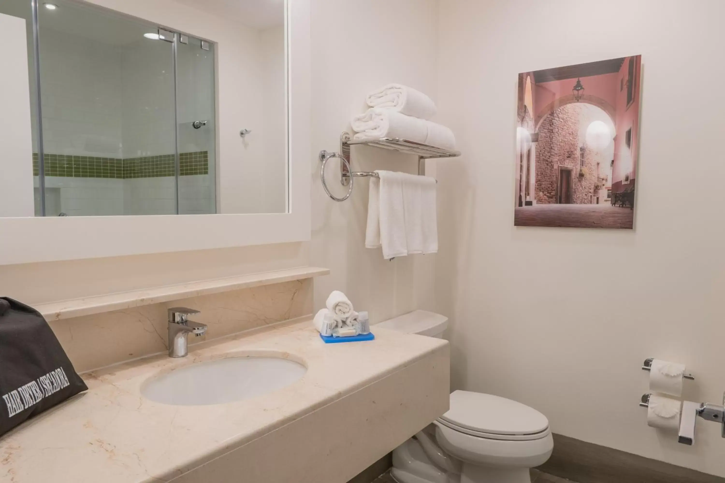 Bathroom in Holiday Inn Express & Suites Silao Aeropuerto Terminal, an IHG Hotel