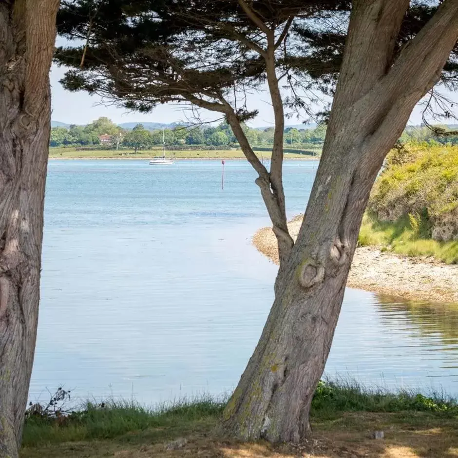 Natural Landscape in Langstone Quays Resort