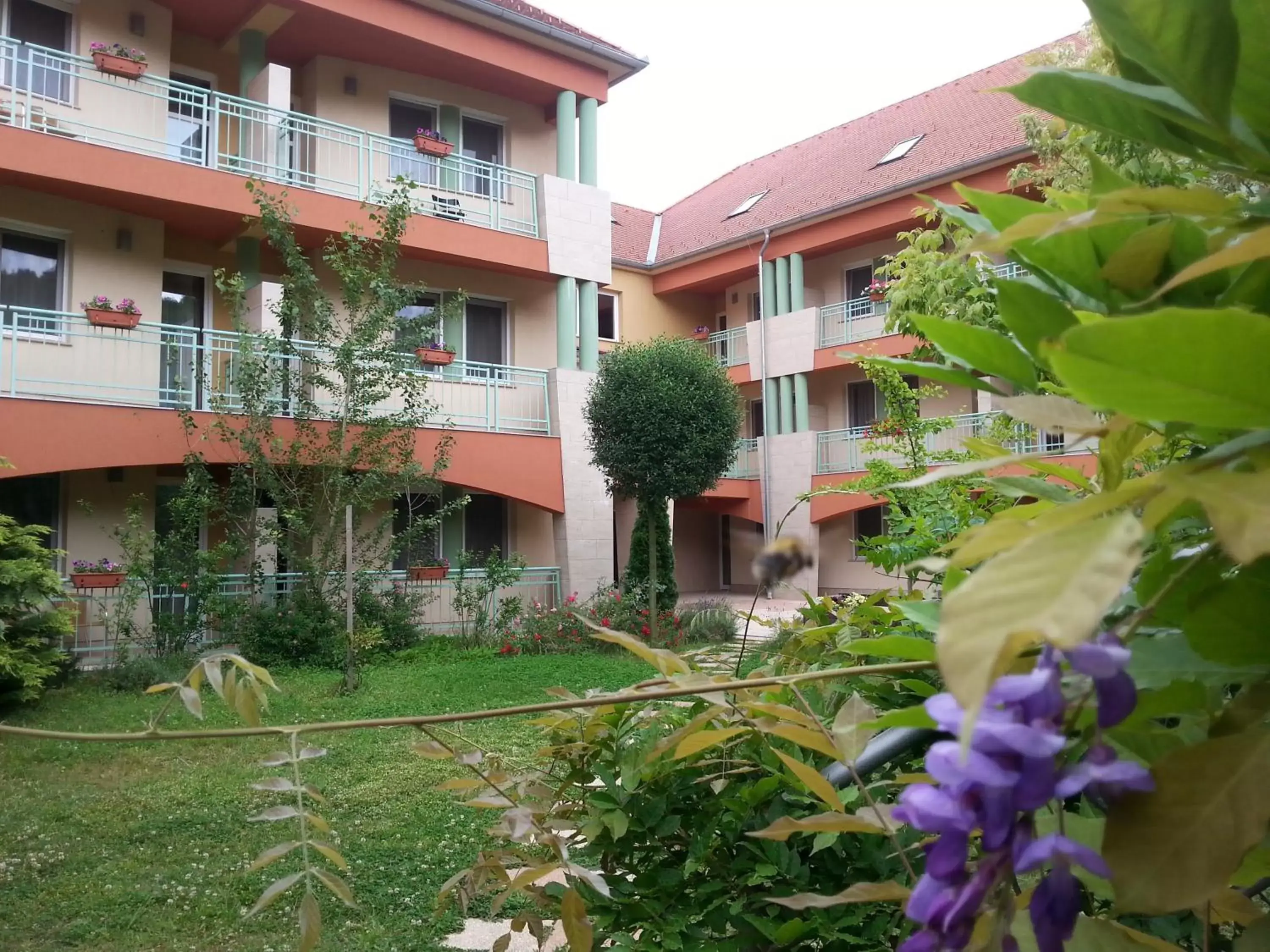 Property building in Hotel Makar Sport & Wellness Property building in Hotel Makar Sport & Wellness