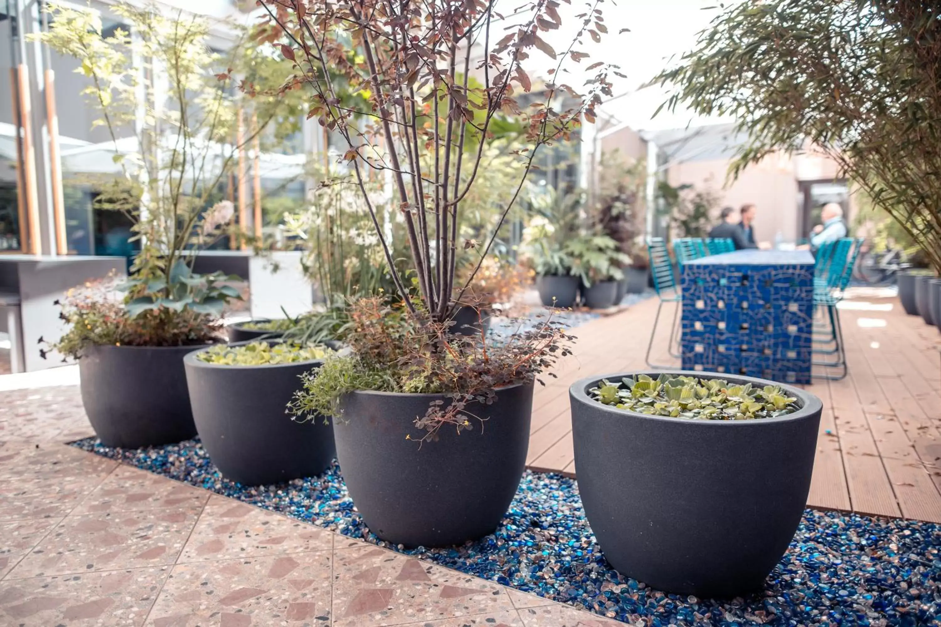 Patio in Hotel Bleibtreu Berlin by Golden Tulip