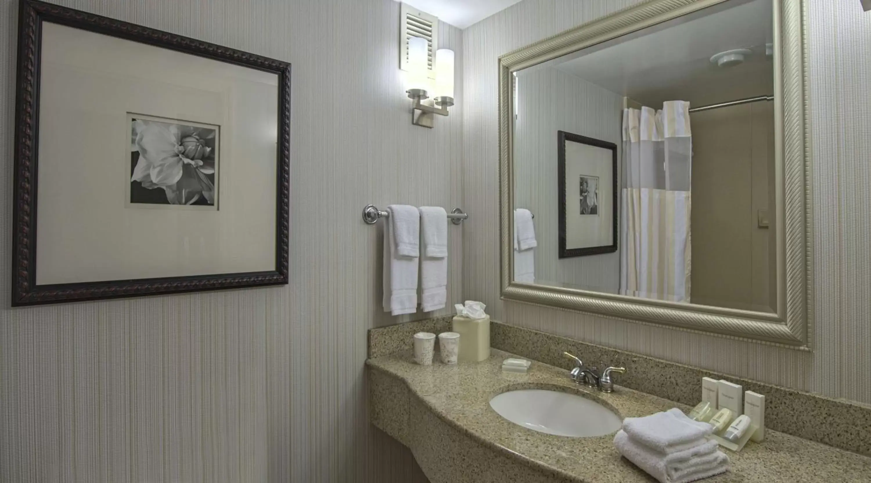 Bathroom in Hilton Garden Inn Auburn/Opelika