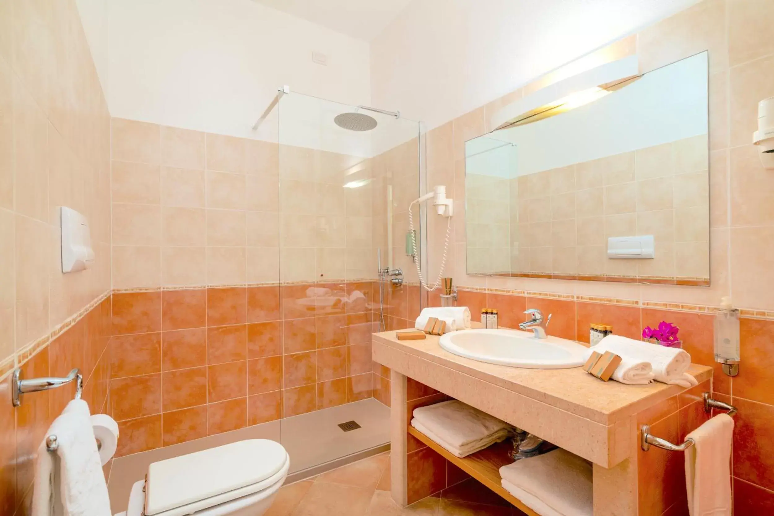 Shower, Bathroom in Hotel Dei Pini