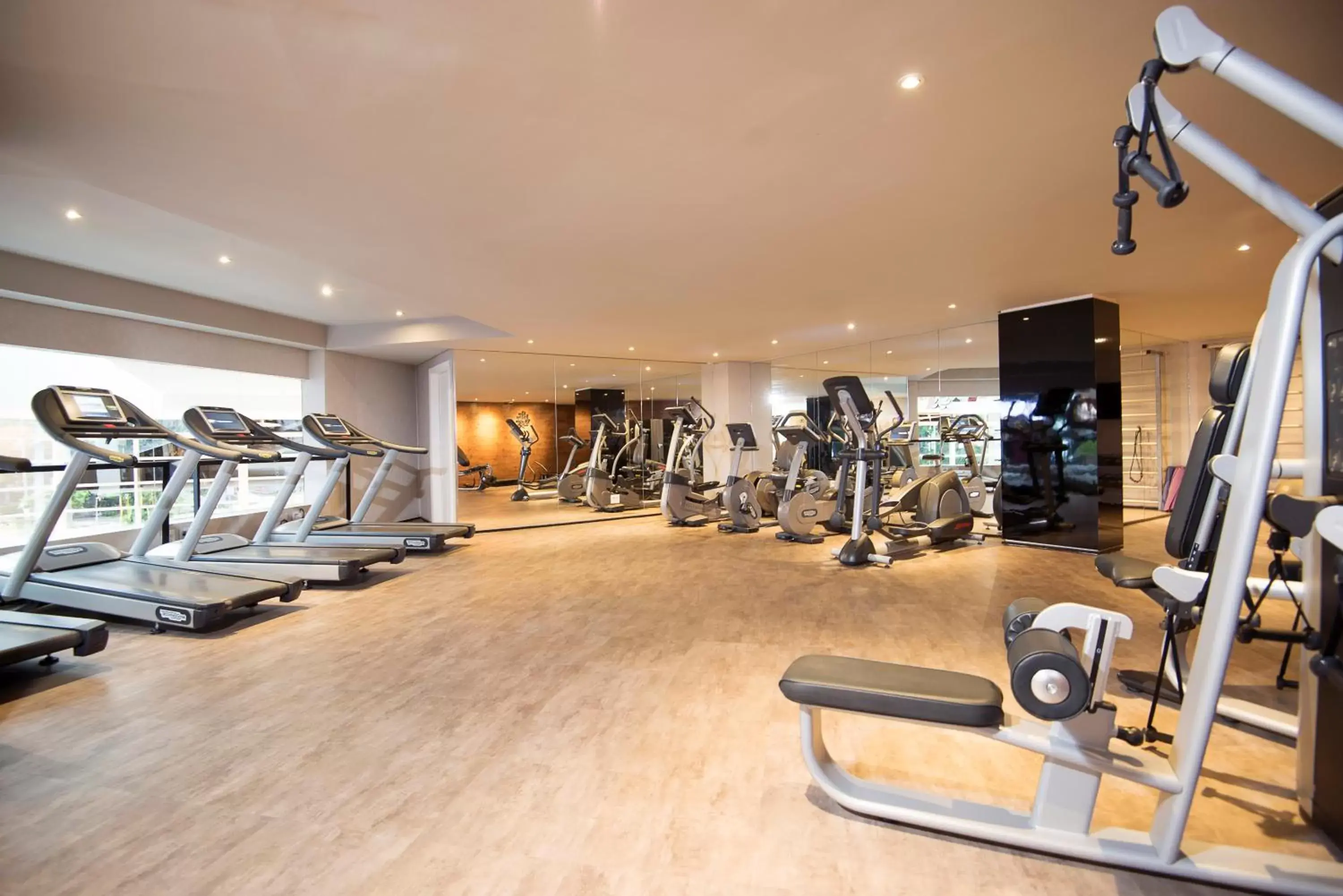 Fitness centre/facilities, Fitness Center/Facilities in Grand Mercure Sao Paulo Vila Olimpia