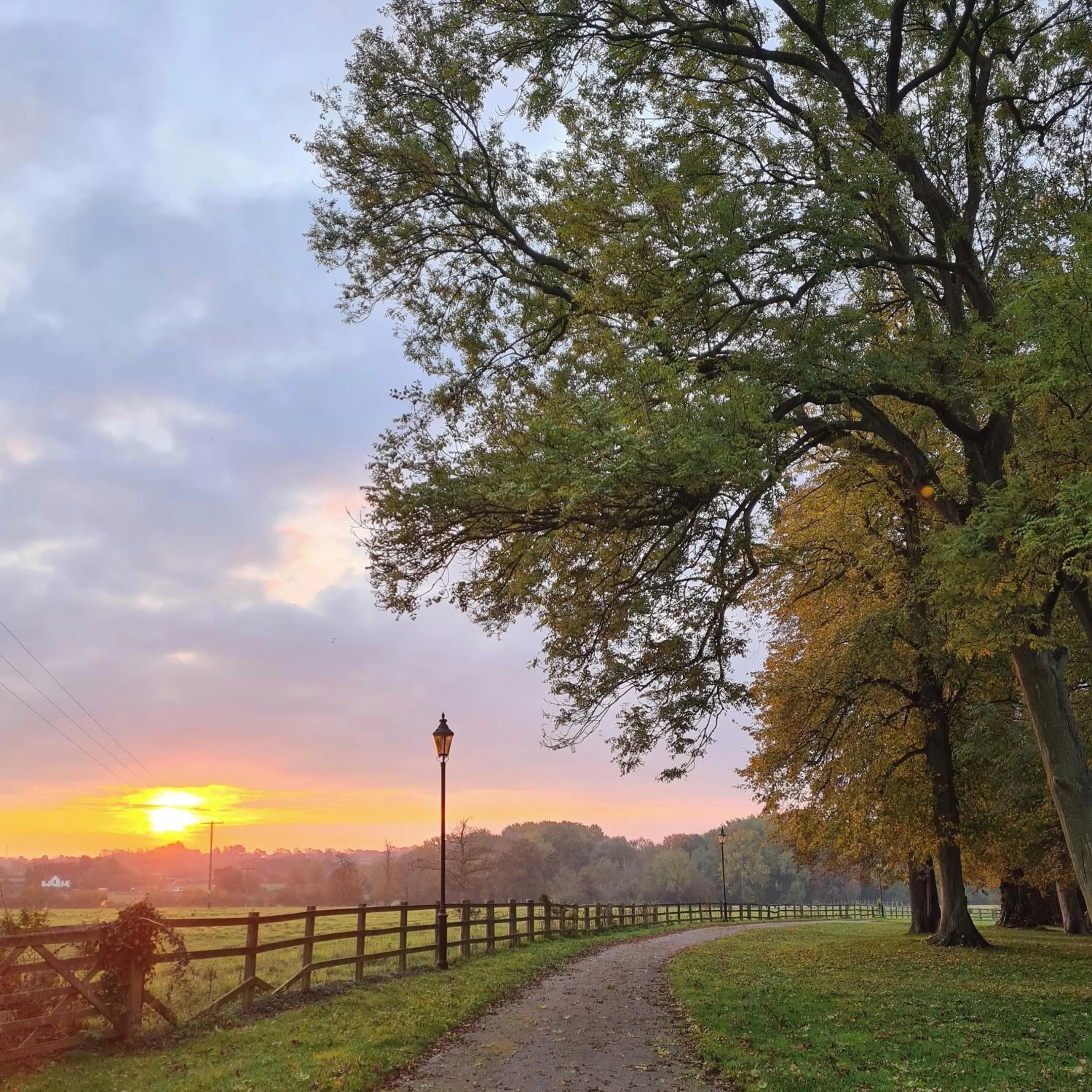 Natural landscape in Horwood House Hotel