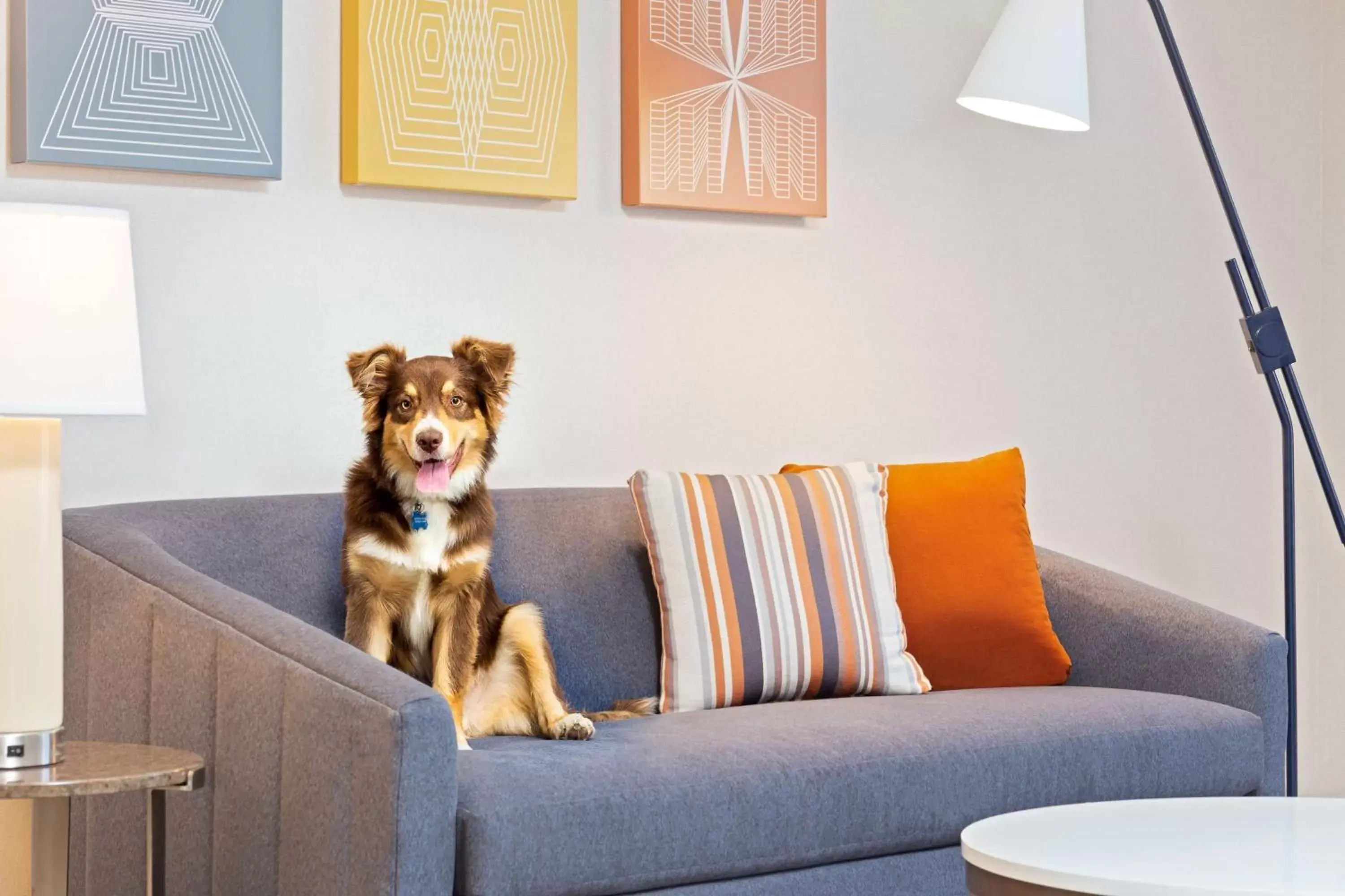 Lobby or reception, Pets in Homewood Suites by Hilton Boston/Canton, MA